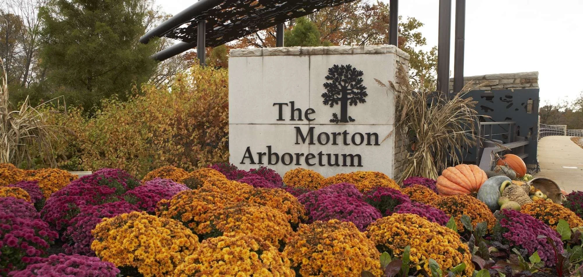 Morton Arboretum Fall Festivities 2025