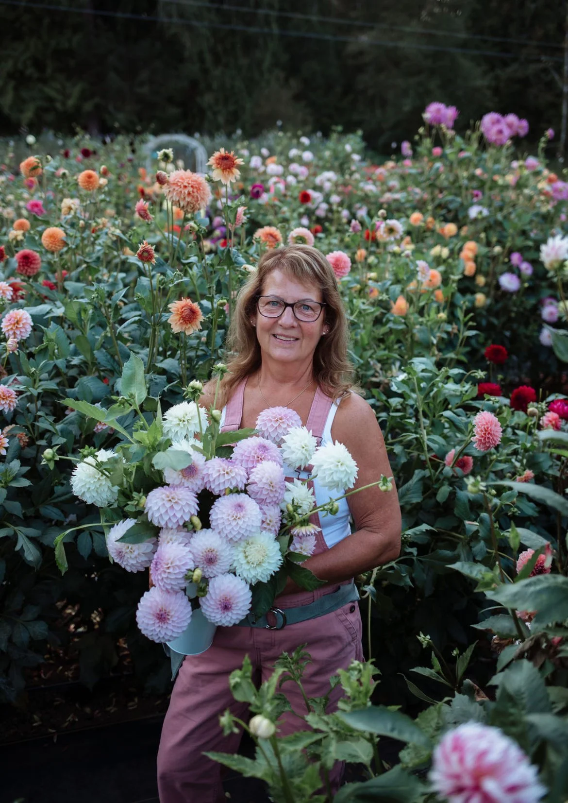 A colorful collection of garden flowers including dahlias, daisies, and zinnias in pastel shades of yellow, pink, white, and purple.