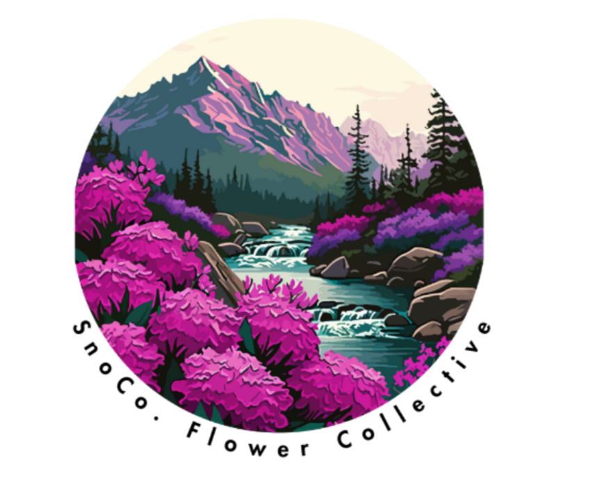 Screenshot 2025-01-23 082707.png