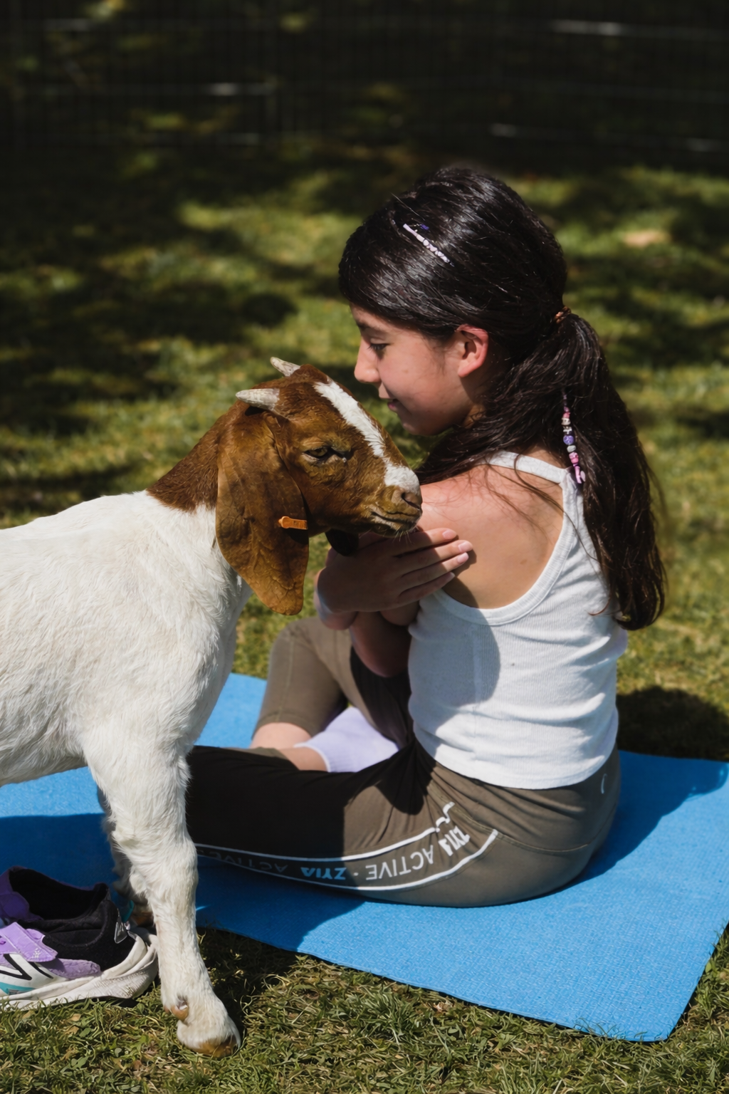 92991a5c-553c-4189-a4d8-70d2ea70bd10.png (copie)