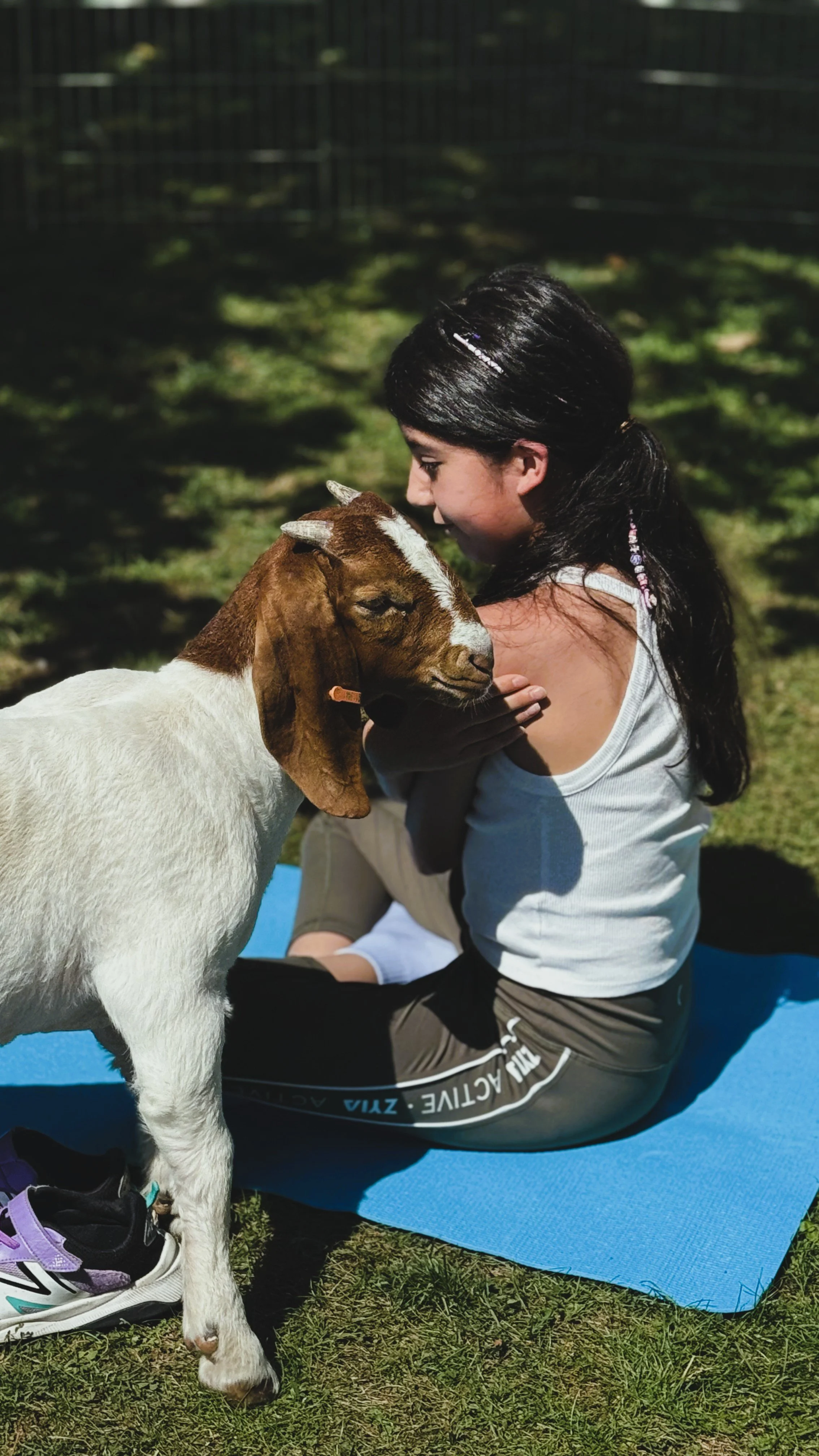 9 juillet 2026 - Yoga - Chèvre