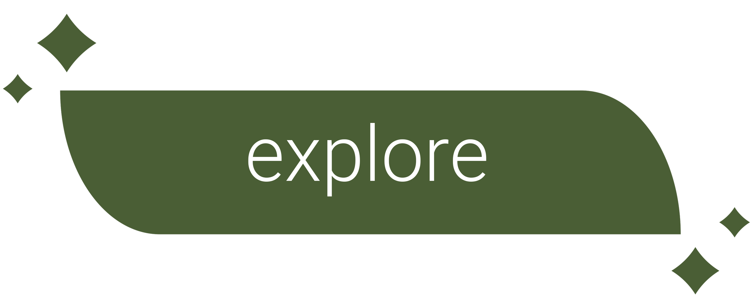 Green button with rounded edges and the word 'explore' in white text, decorated with small star-shaped designs