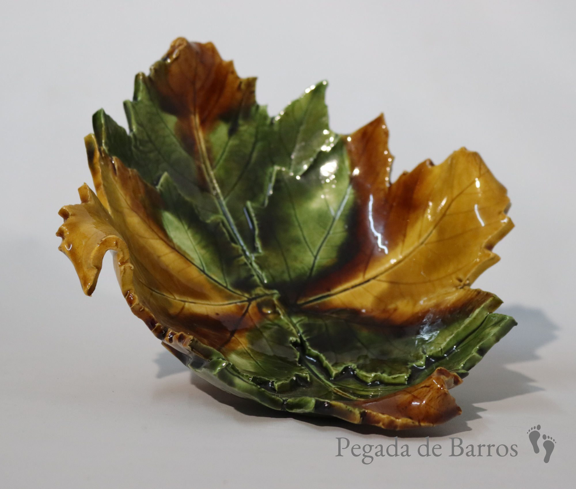 PegadadeBarros 20240423_1.png