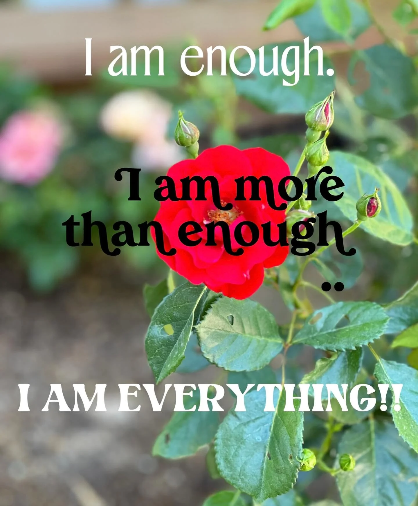 Repeat after me:
💕 I am enough.
✨ I am actually MORE than enough ..
🫶 I. Am. EVERYTHING!!

Because it&rsquo;s true! &hearts;️✨

#hillarywolfereikiandcoaching #makeyourownmagic #reiki #reikimagic #reikimaster