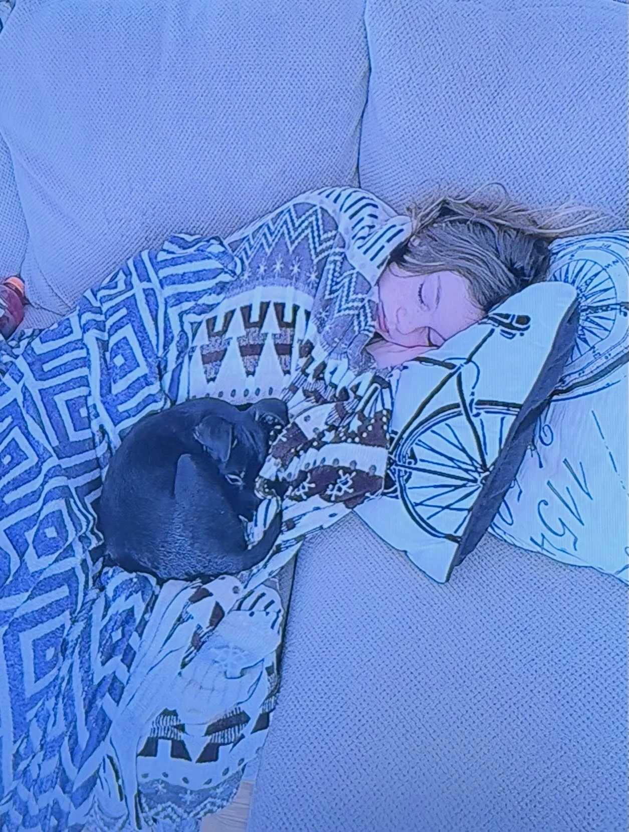 Baby Bub got her wisdom teeth out. 😢

Her George Dog will always be RIGHT there. &hearts;️🐶

#hillarywolfereikiandcoaching #makeyourownmagic #reiki #reikimagic #pithuahua