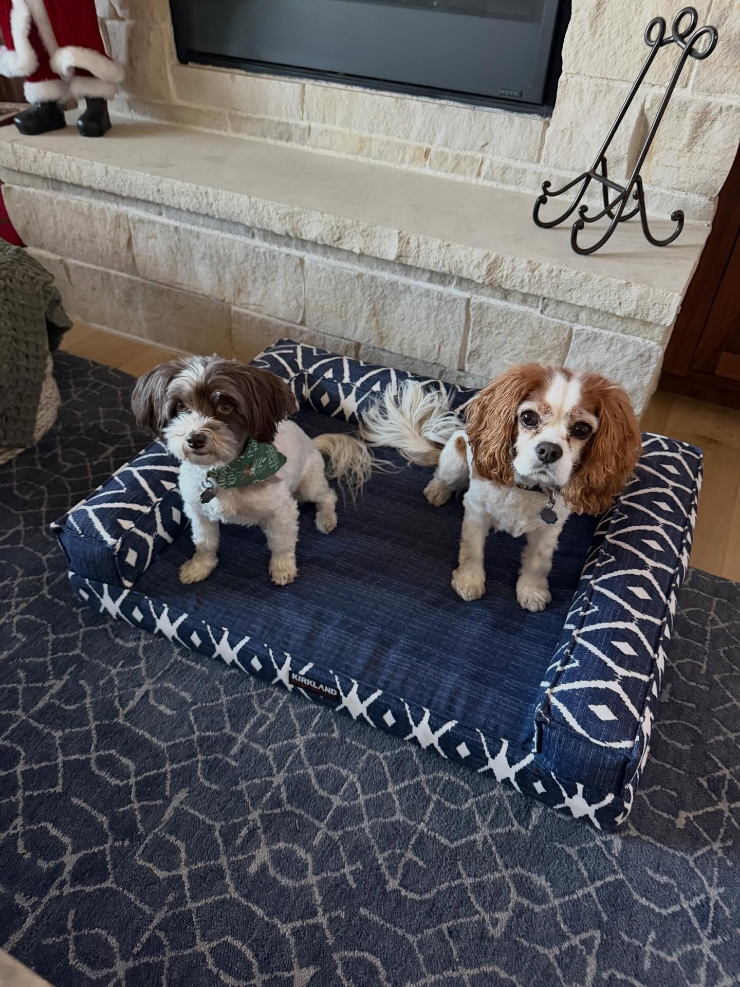 ✨Staycation, Anyone?!✨

A gorgeous Bestie asked me to watch her puppers!

24 hours: just me and tiny dogs?!
👆YESSSS, PUH-LEASE!! &hearts;️&hearts;️

➡️ Blurry pic, but a staycation with 2 best buddies and my laptop in the MIDDLE of the holidays = BE