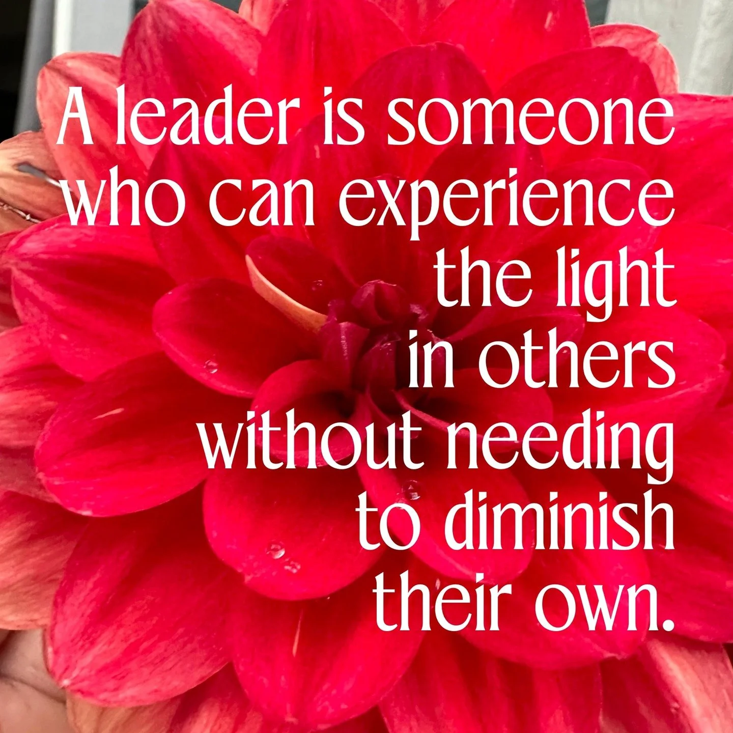She was told she was a leader and an inspiration.
But that didn't fit with what she knew about herself.
She'd felt so very small dealing with her own personal, painful situation for the past five years.
She was just starting to re-enter the real worl