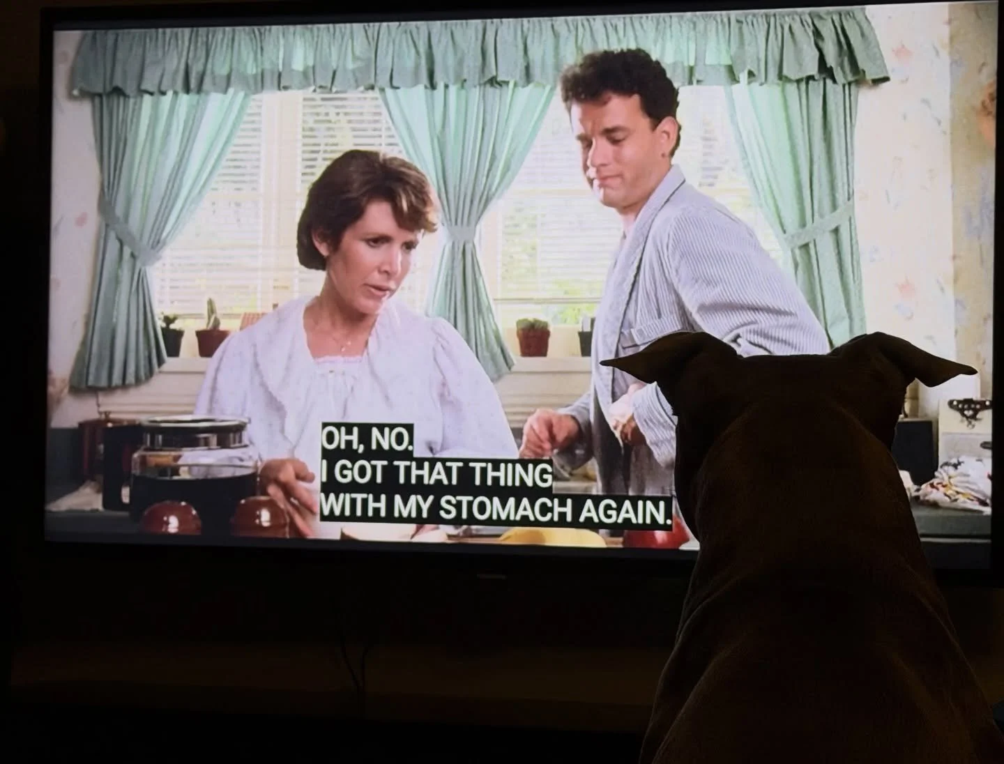 When in doubt, fall back on COMFORT!!&hearts;️✨

Little Dog agrees!

This week has felt TENSE!! 
We considered watching the new *show* as comfort. 
➡️ Why not watch the original FIRST?!

The &lsquo;Burbs. 

Comfort-films or -songs are what your brain