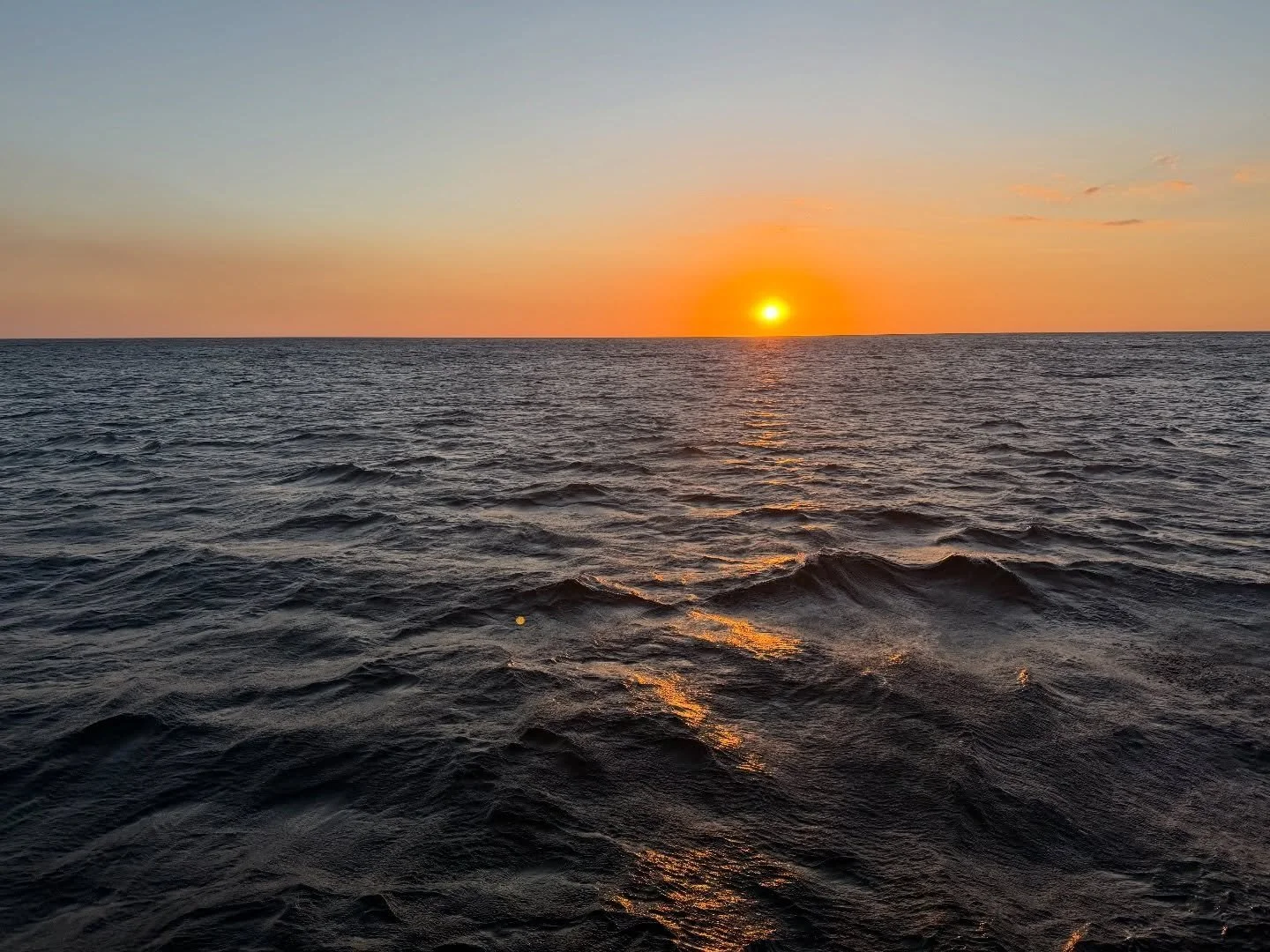 When the sun comes in every morning, I get CRAZY ANCY till it goes down!

Have you SEEN me?!

➡️ Oh wait: I look super sedentary cuz I&rsquo;m usually trying to breathe/meditate through all the anxiety!! 😜

👉 Here&rsquo;s the real truth: 
My body i