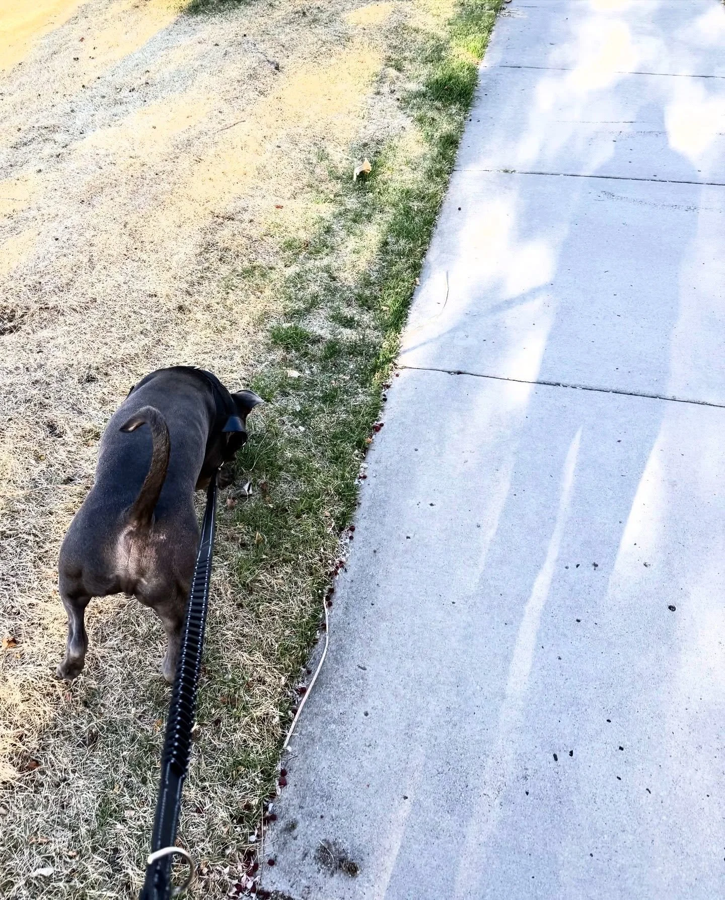 You&rsquo;re not seeing true Magic because you&rsquo;re too set in your ways! 😮

👉 Don&rsquo;t get me wrong: knowing what works for you and what really doesn&rsquo;t helps you move through your days with ease and flow!

But in this 1-year, it&rsquo