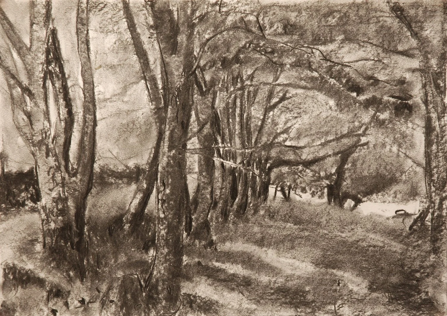 mazurenko_lamorna_pottery-_woods.jpg