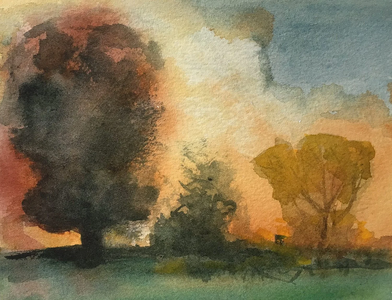 trees.jpg