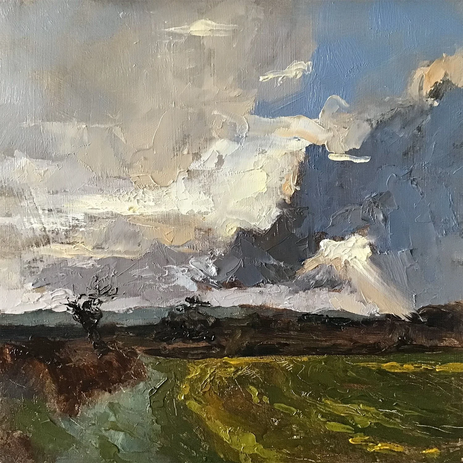 Chyenhall-evening.jpg
