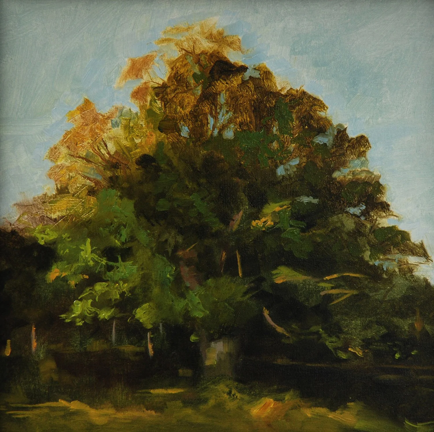 mazurenko_oak_tree.jpg