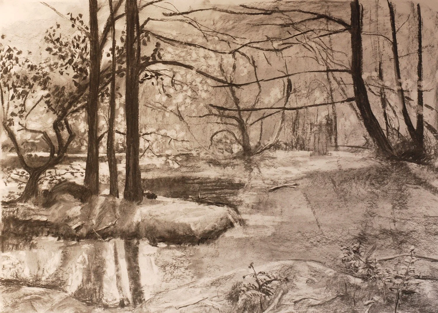 mazurenko_skimmel_woods.jpg