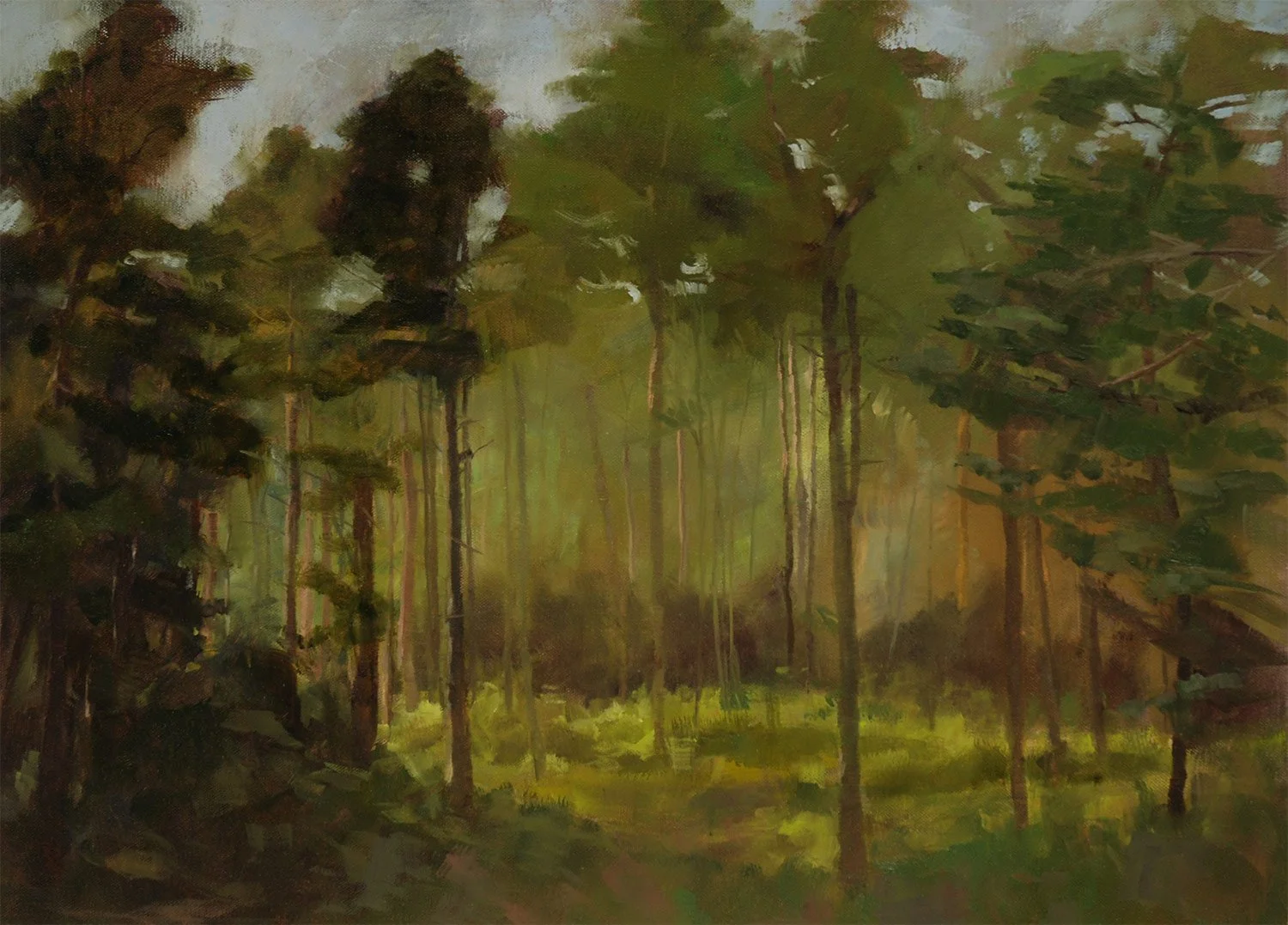 mazurenko_pine_trees.jpg