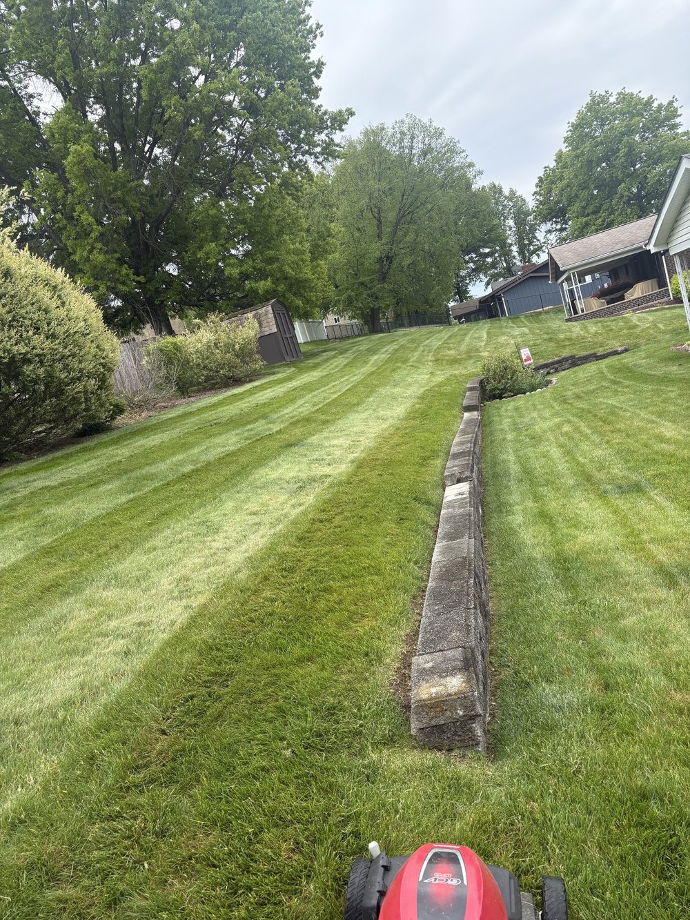 Backyard cut around the block edging