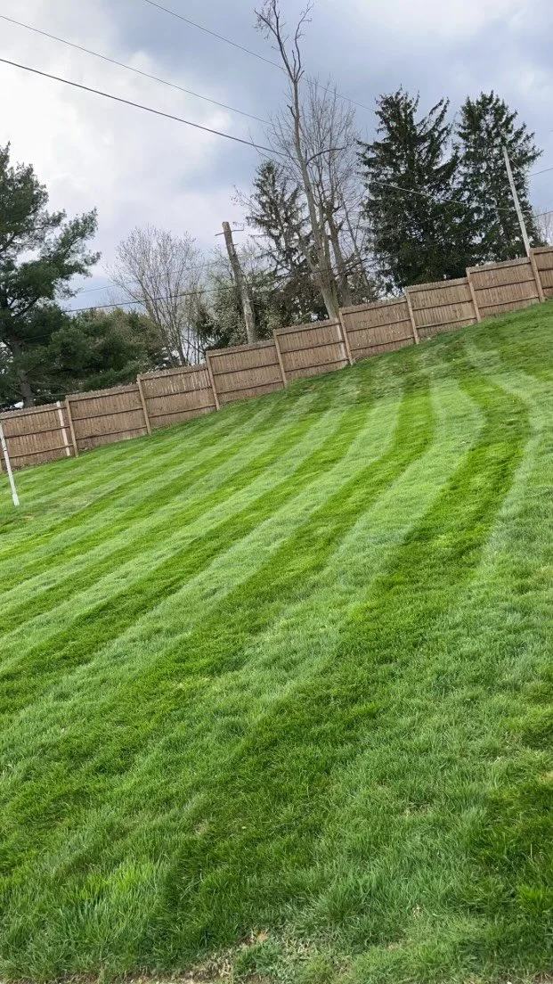Hillside stripes along a privacy fence
