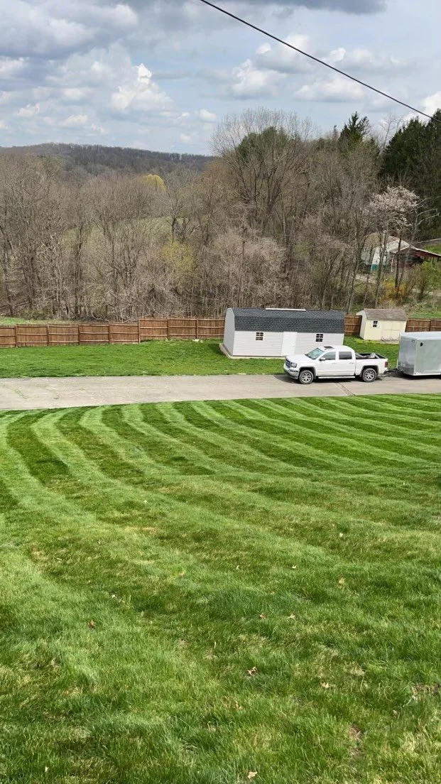 Sloped lawn above the driveway