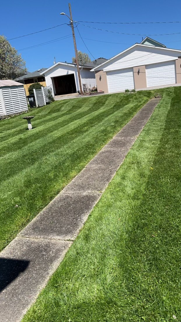 Front lawn with a clean edge along the walk