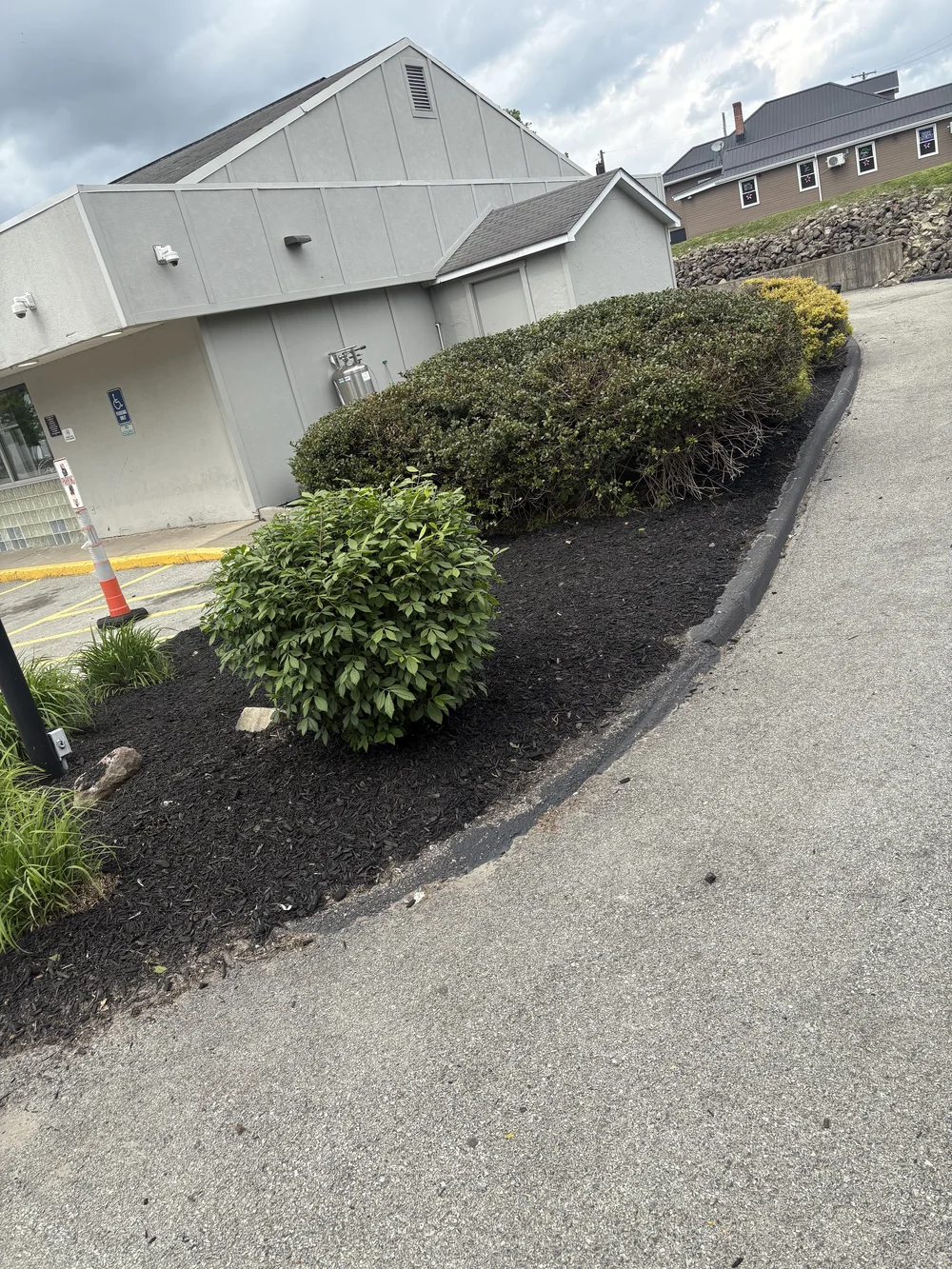 Shrubs trimmed and beds mulched