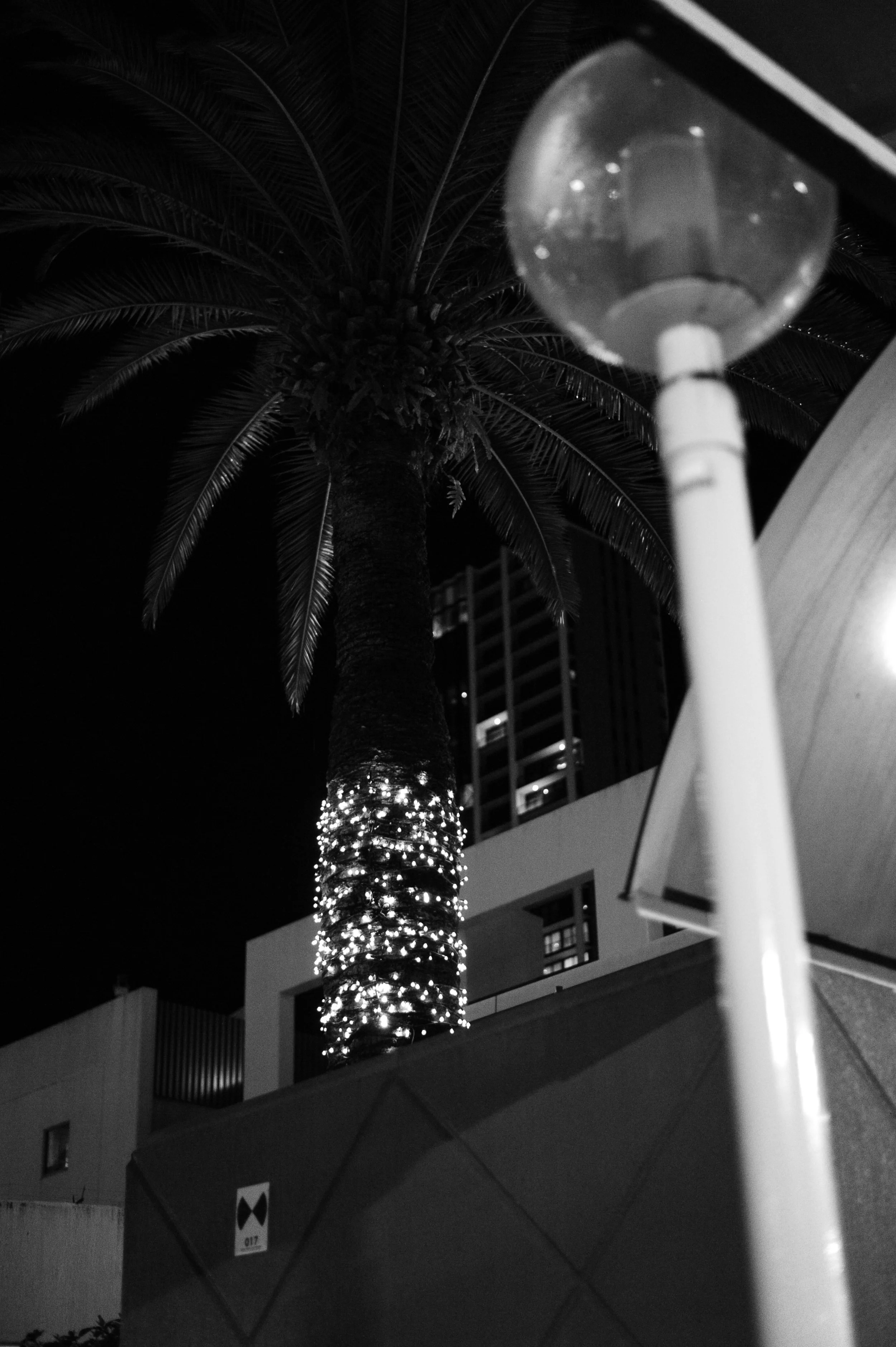 DSC_3614.JPG