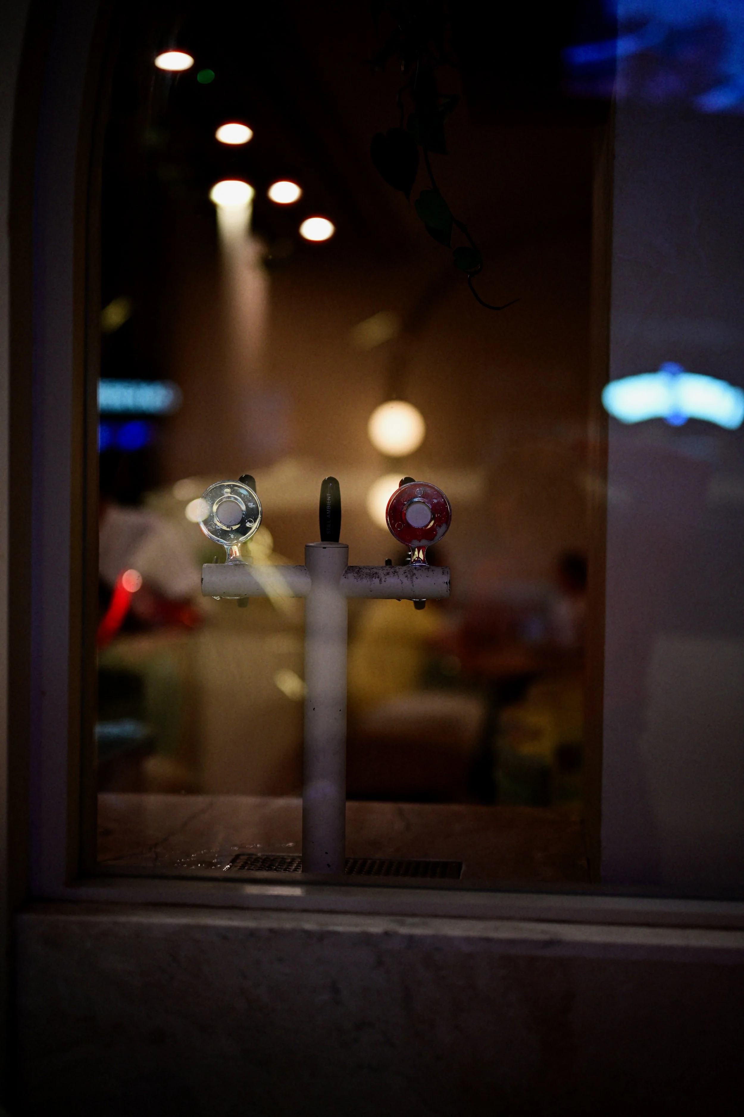 Nikon 50mm f1.2 Davinci Edits - 0313.jpg