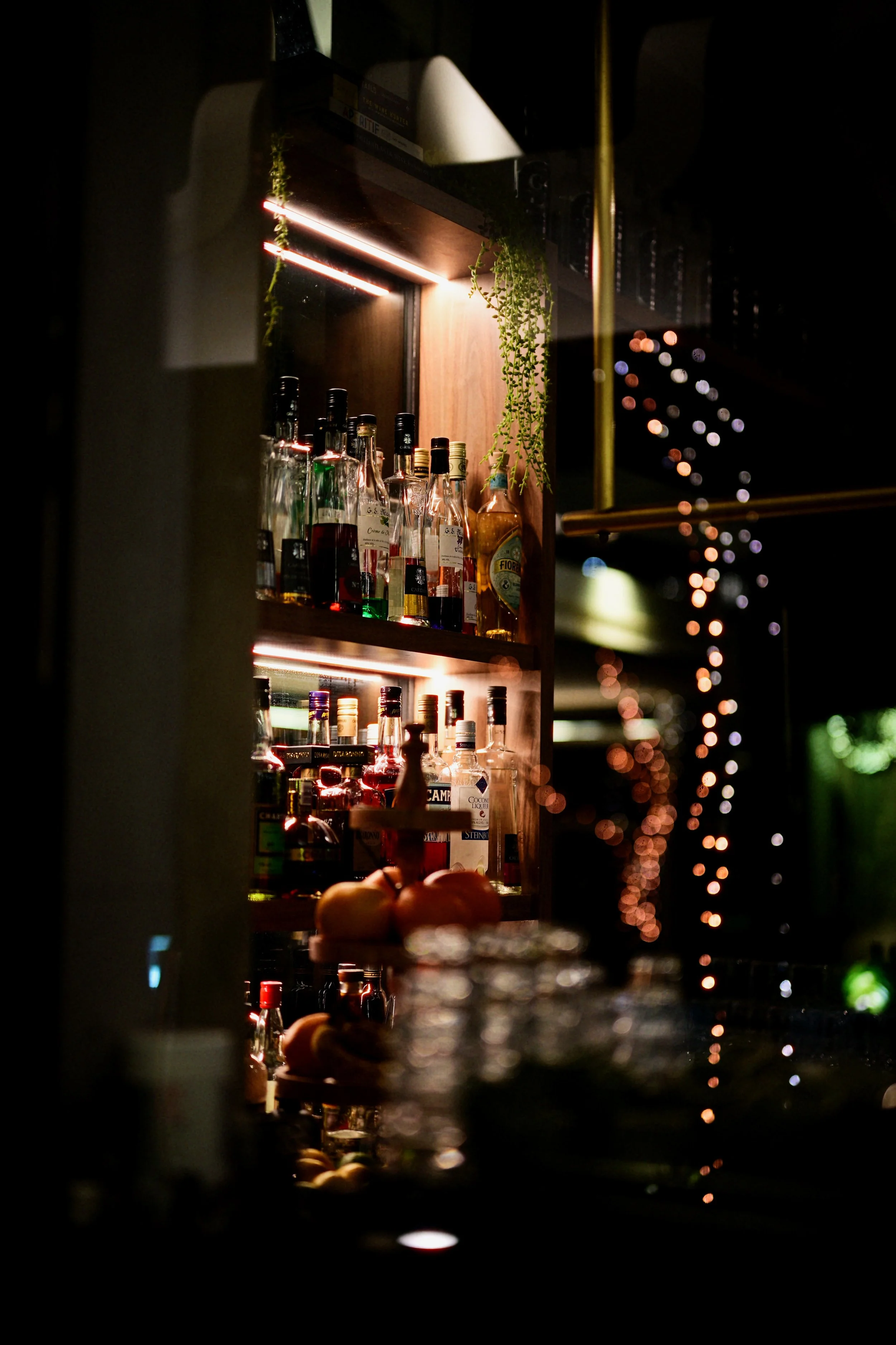 Nikon 50mm f1.2 Davinci Edits - 0322.jpg