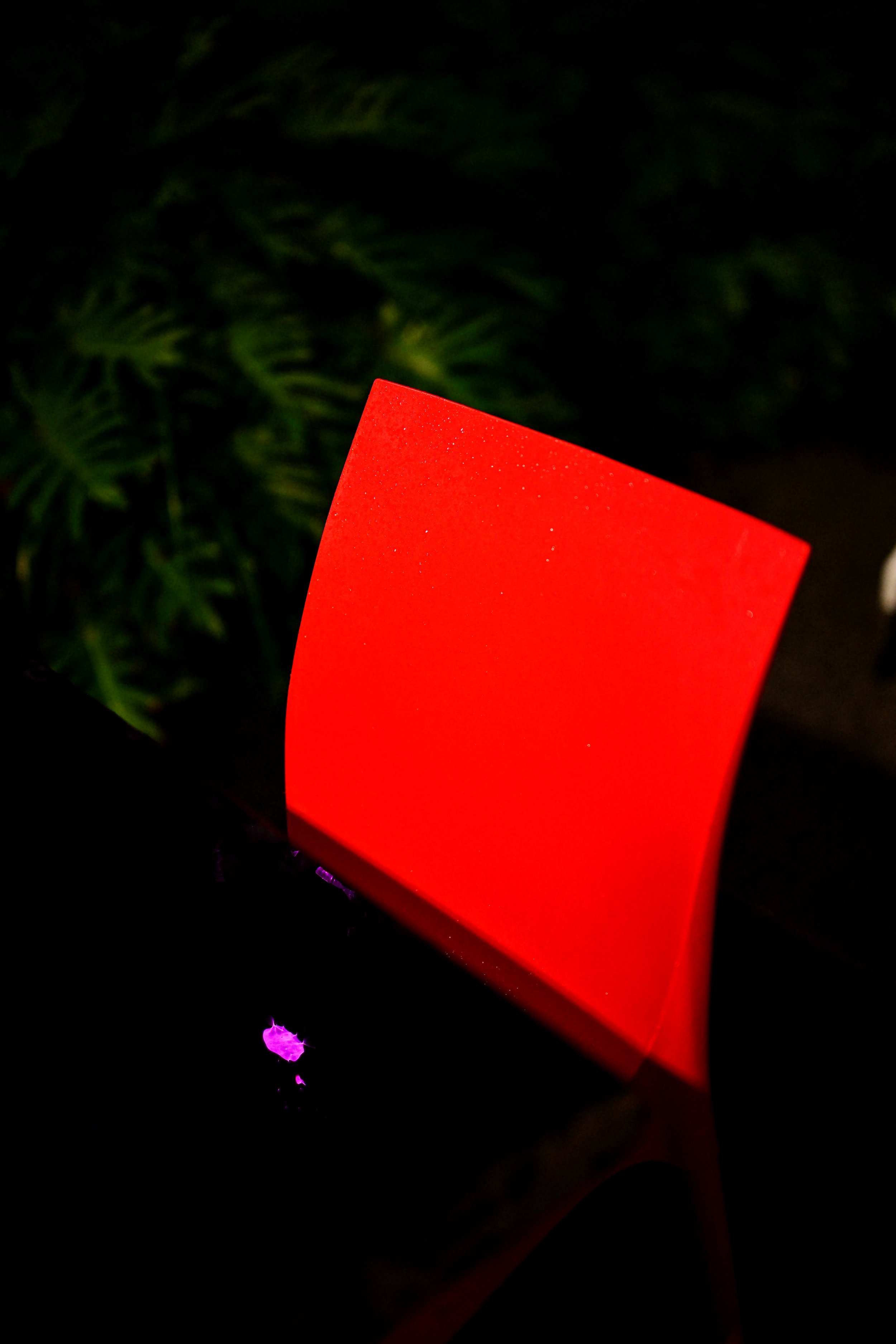 Nikon 50mm f1.2 Davinci Edits - 0113.jpg