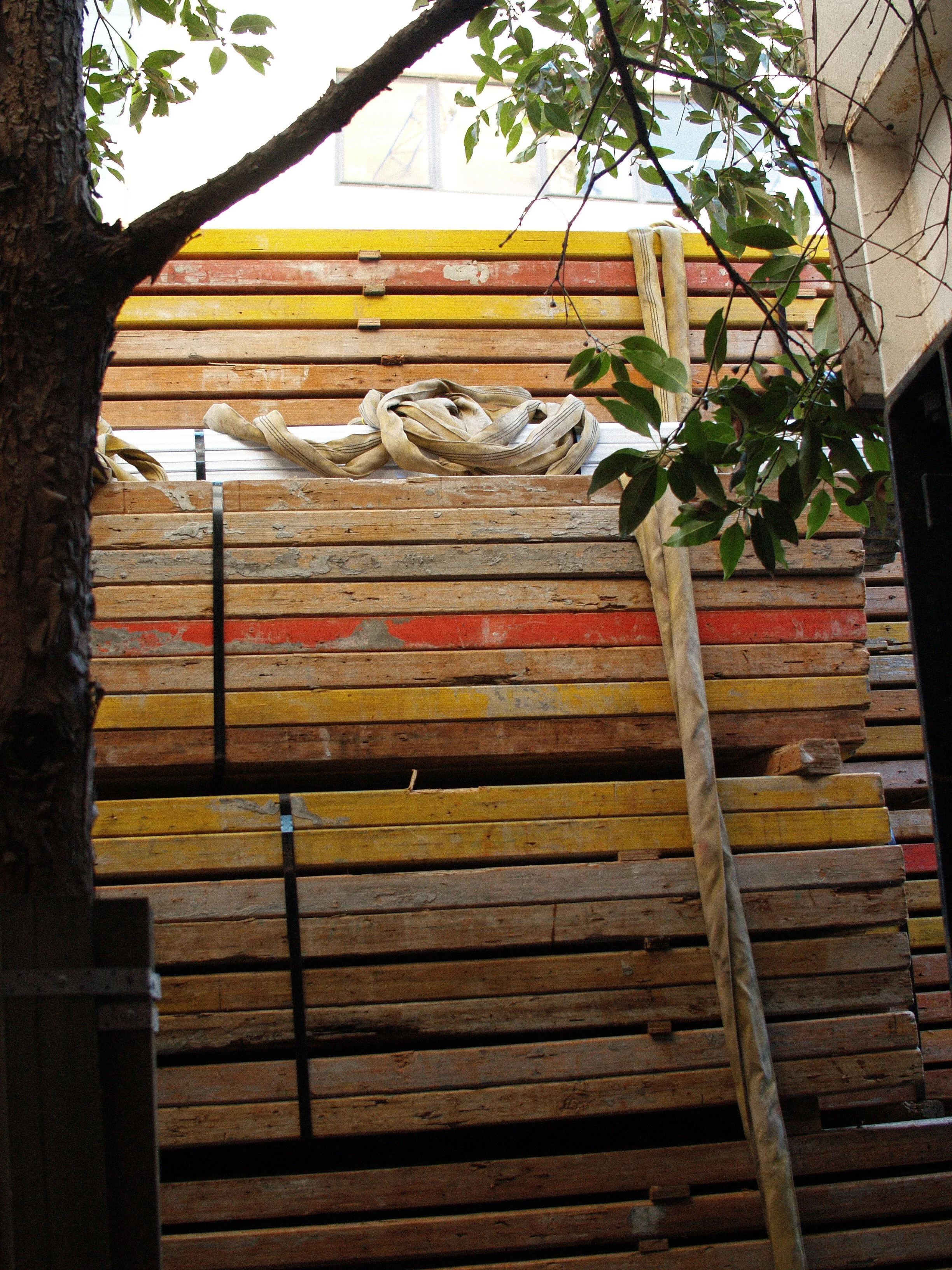 P1014944.jpg