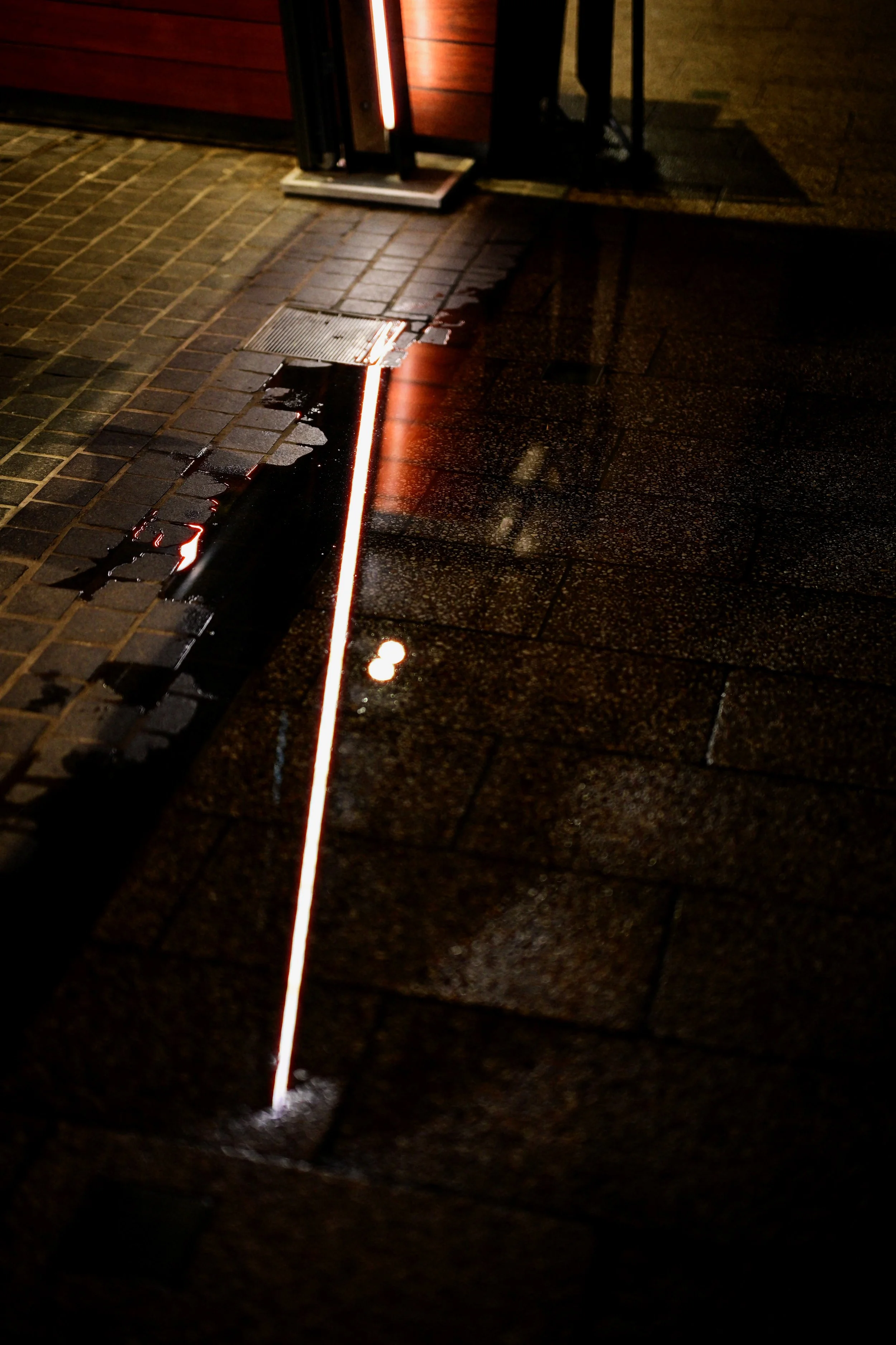 Nikon 50mm f1.2 Davinci Edits - 0262.jpg