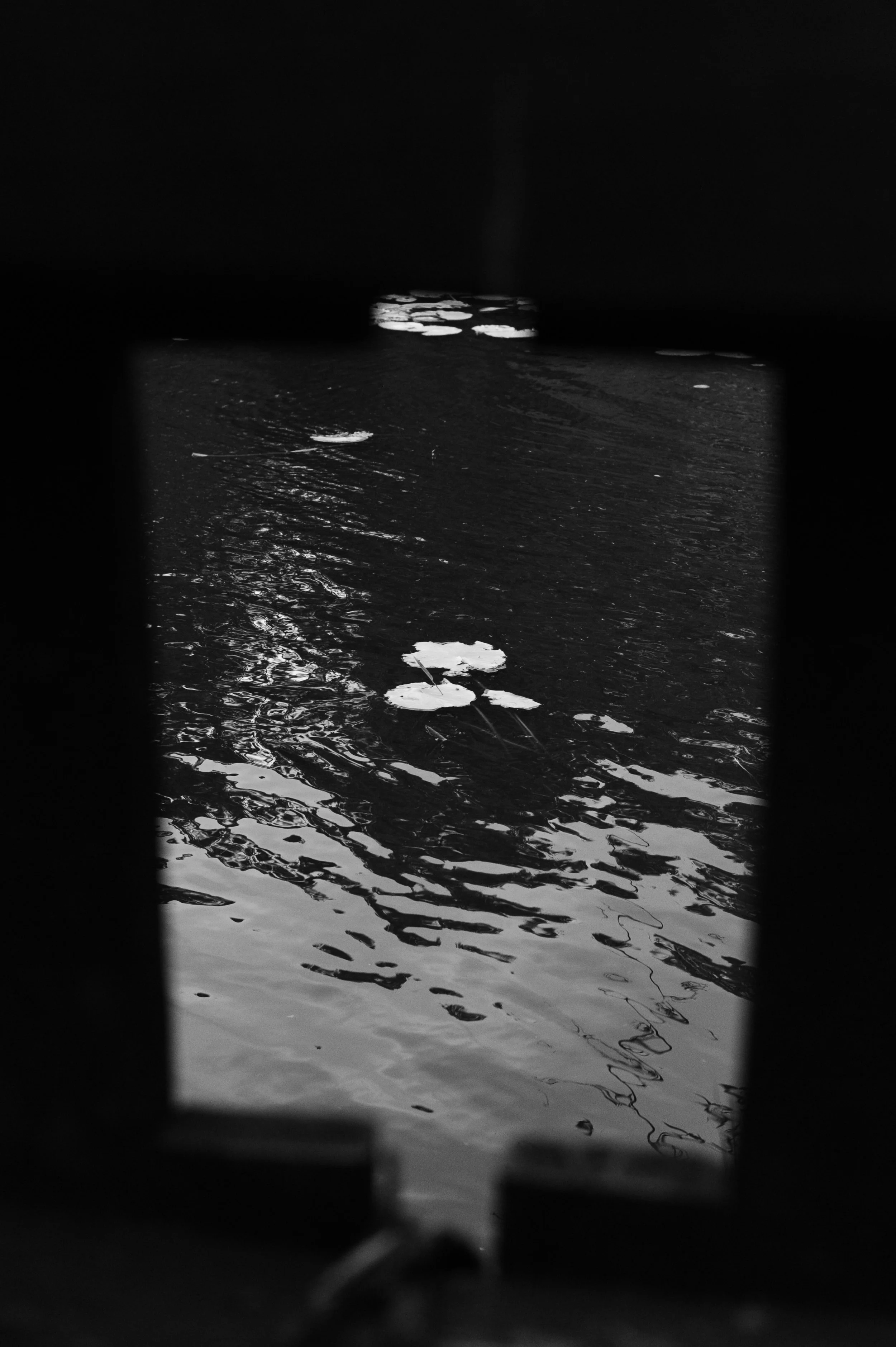 DSC_3514.JPG