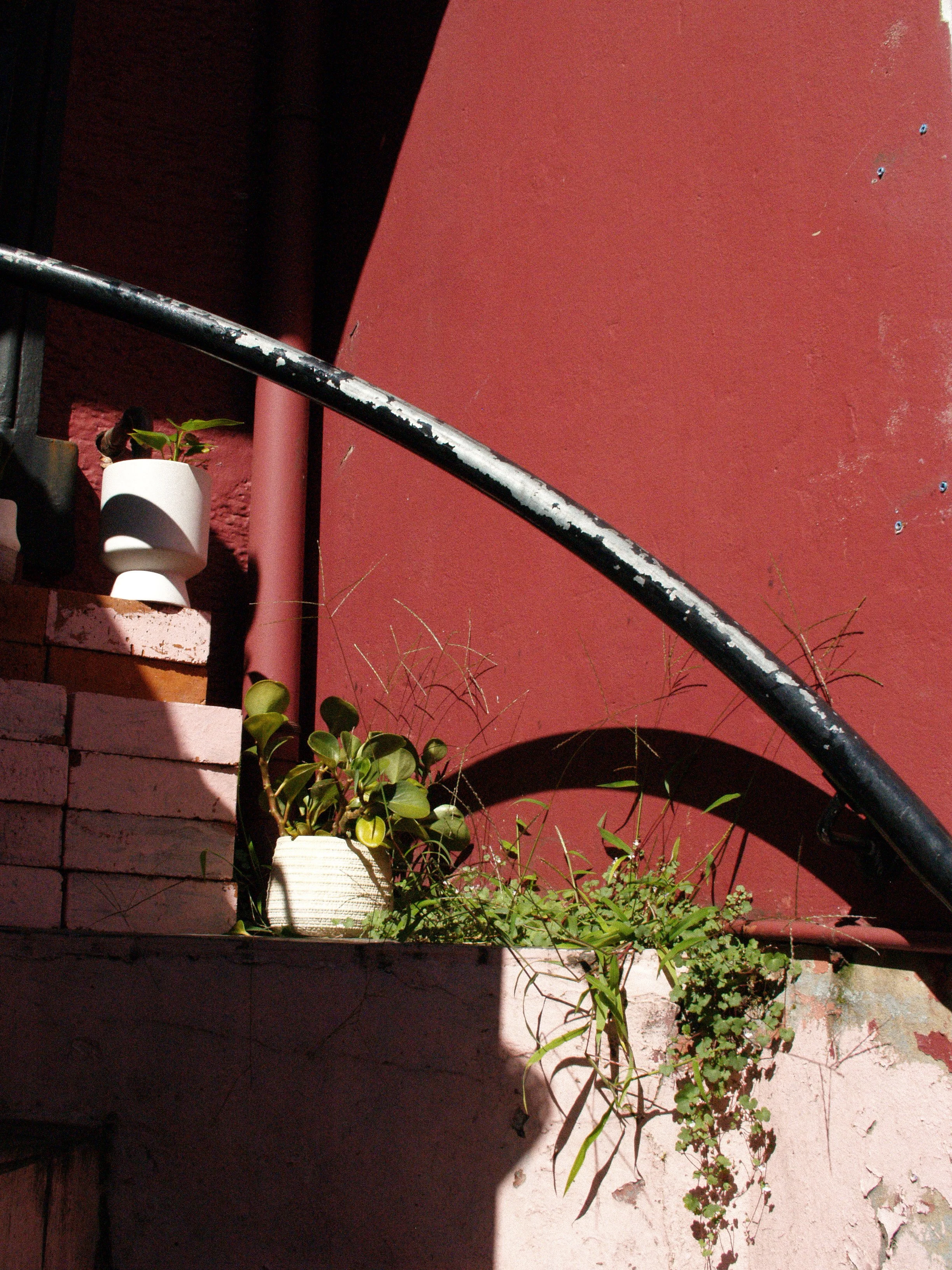 P1014842.jpg