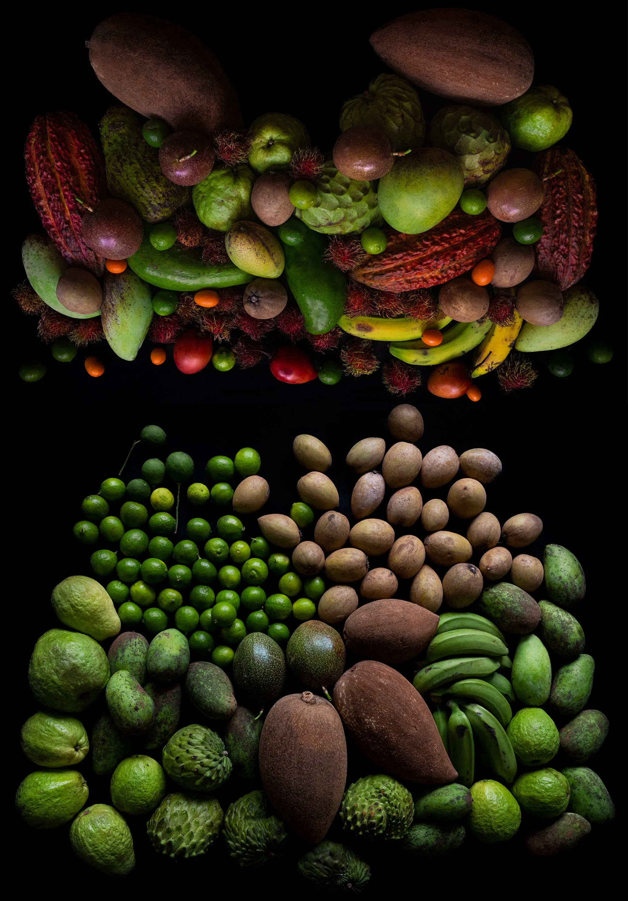 GARRENteed _ TROPICALTURE _ MIAMI FRUIT.jpg