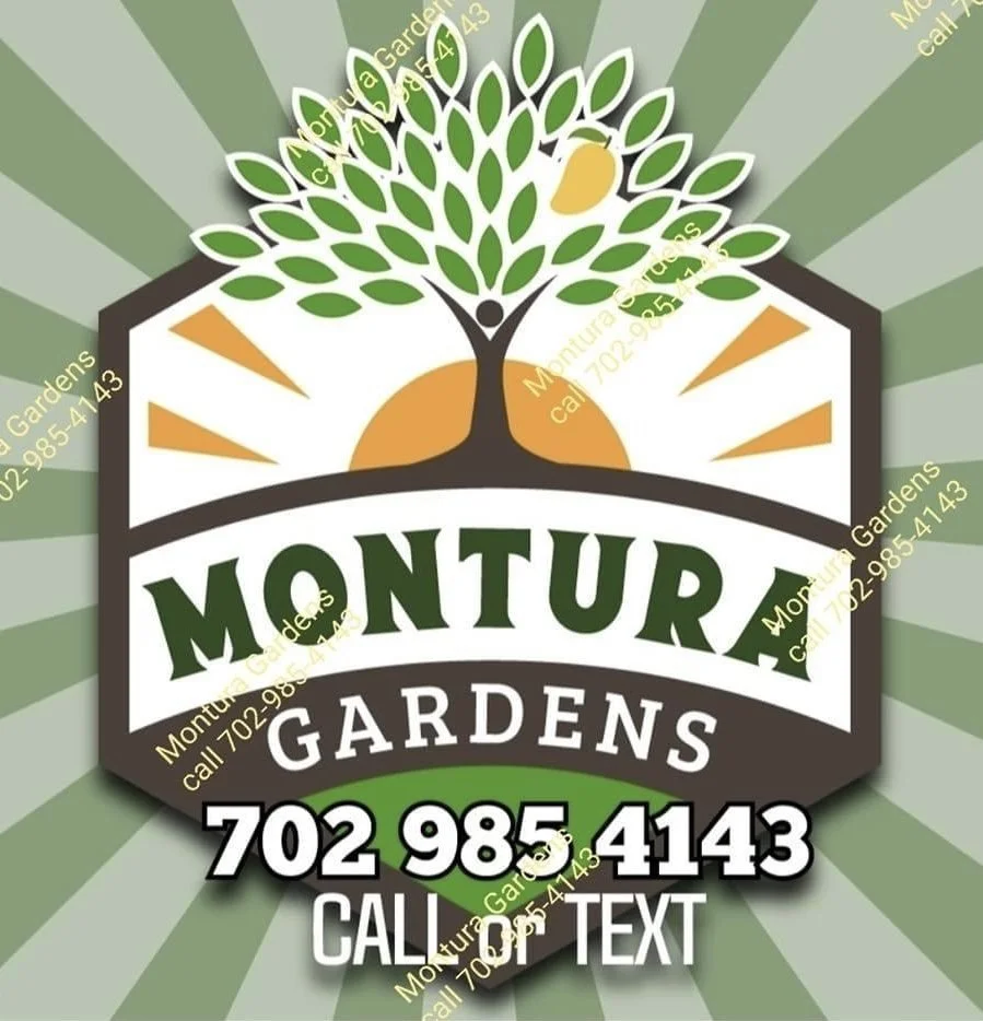 GARRENteed _ TROPICALTURE _ MONTURA GARDENS.jpeg