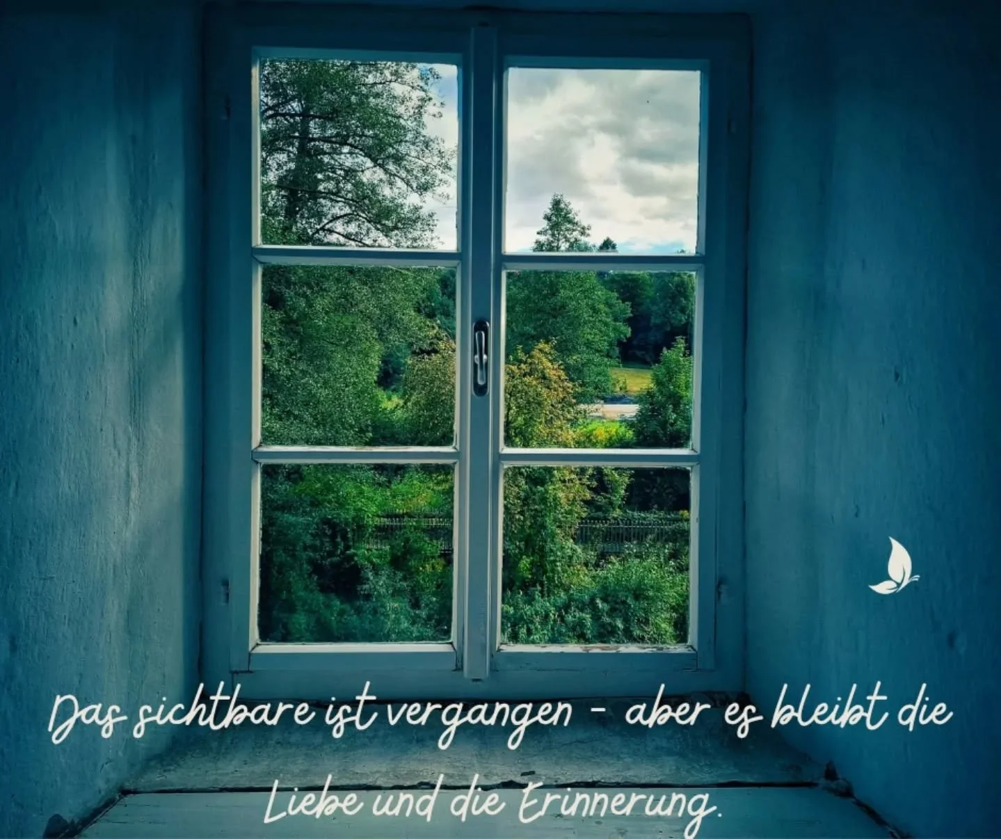 Dieser Monat November ist f&uuml;r mich schon jetzt ein sehr intensiver Monat geworden. 

Wieder gab es in meinem Umfeld einen Todesfall, der sehr pl&ouml;tzlich und unerwartet kam.
Der in mir sooooo viele wundersch&ouml;ne Erinnerungen, Erlebnisse u