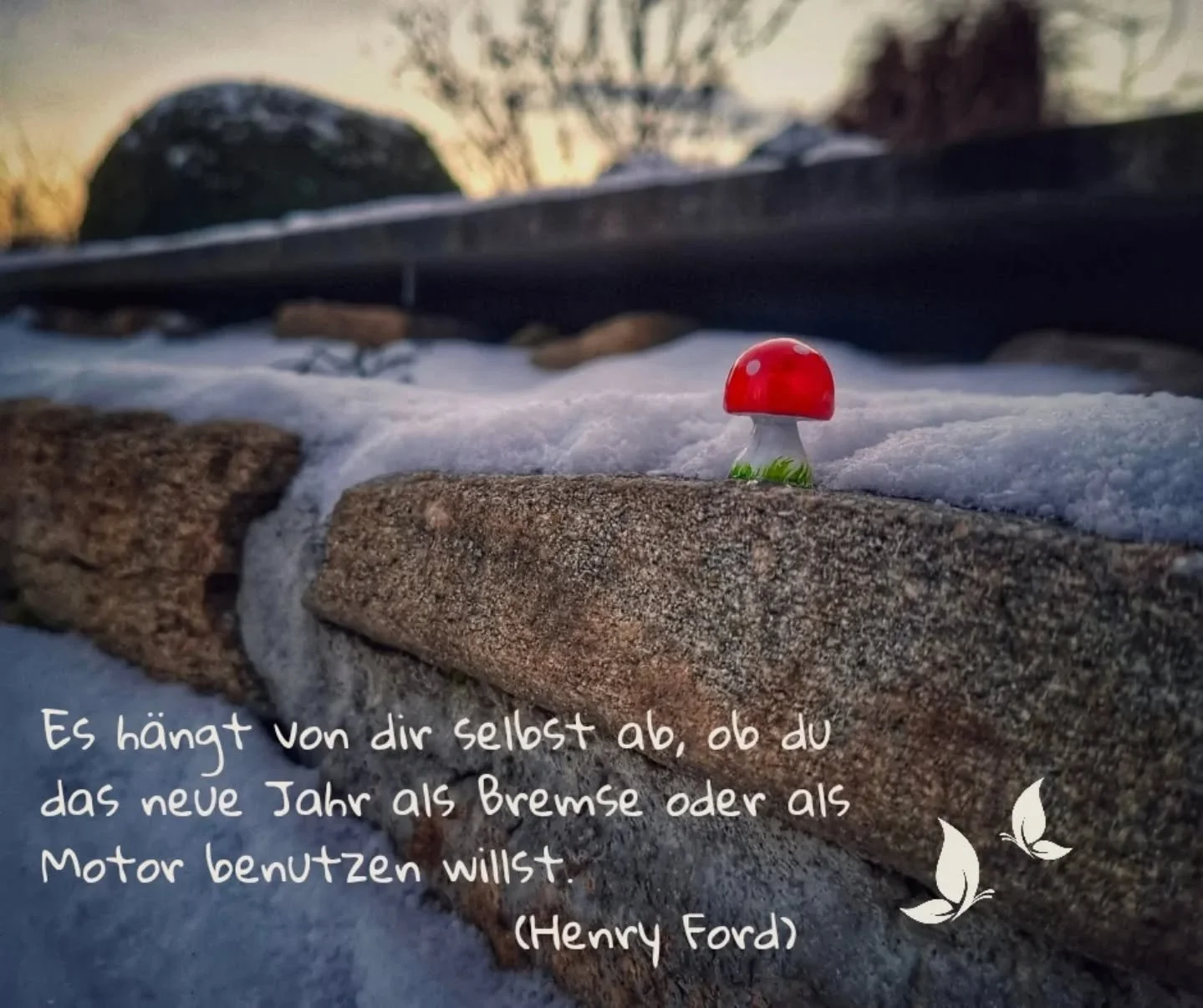 Das Jahr 2025 war nicht immer leicht, aber dennoch ein sch&ouml;nes und erfolgreiches Jahr.

Ein paar sehr besondere Menschen, die f&uuml;r eine Zeit Teil meines Lebens waren, haben ihre Heimat jetzt in der geistigen Welt. Auch mir fielen diese Absch