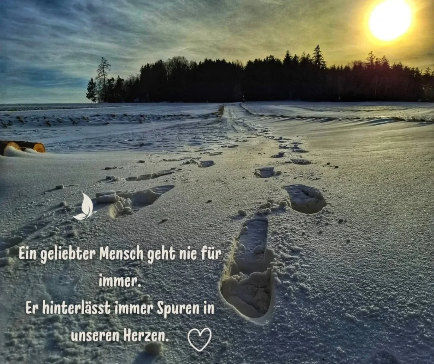 Ein Jenseitskontakt ist jedes Mal etwas besonderes, da jeder, der mir gegen&uuml;ber sitzt mit seinen Liebsten in der geistigen Welt "SEINE" ganz eigene Lebensgeschichte hat.

In den Sitzungen zeigen sie sich so, wie sie zu Lebzeiten waren 