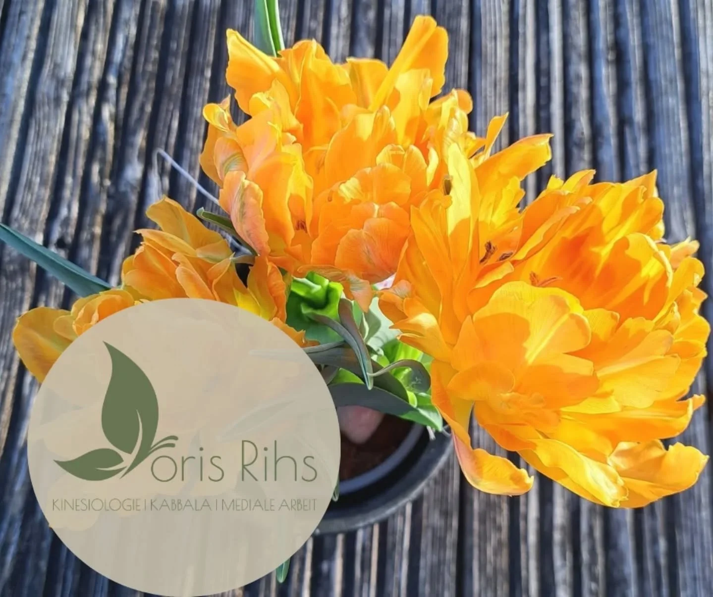 Gl&uuml;ck h&auml;ngt nicht davon ab, wer du bist, 
sondern davon, was du denkst. 
Du selbst bist immer genug. 
__________________________________________________

Denk immer daran was du schon geschafft und erlebt hast. 
Das macht dich aus.... und z