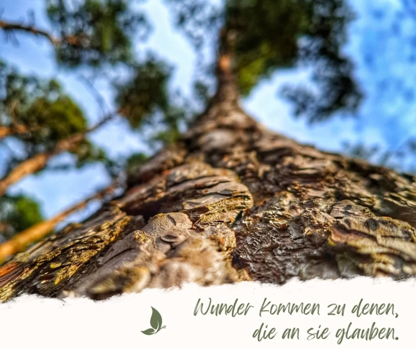 Fr&uuml;hling, Sonne, Freiheit, Ruhe  Natur, Vogelgezwitscher, die leisen T&ouml;ne des Lebens, Tanz der Schmetterlinge,...

Wenn die Sinne offen sind f&uuml;r die Wunder des Lebens == angekommen im JETZT!!! ✨️🩵