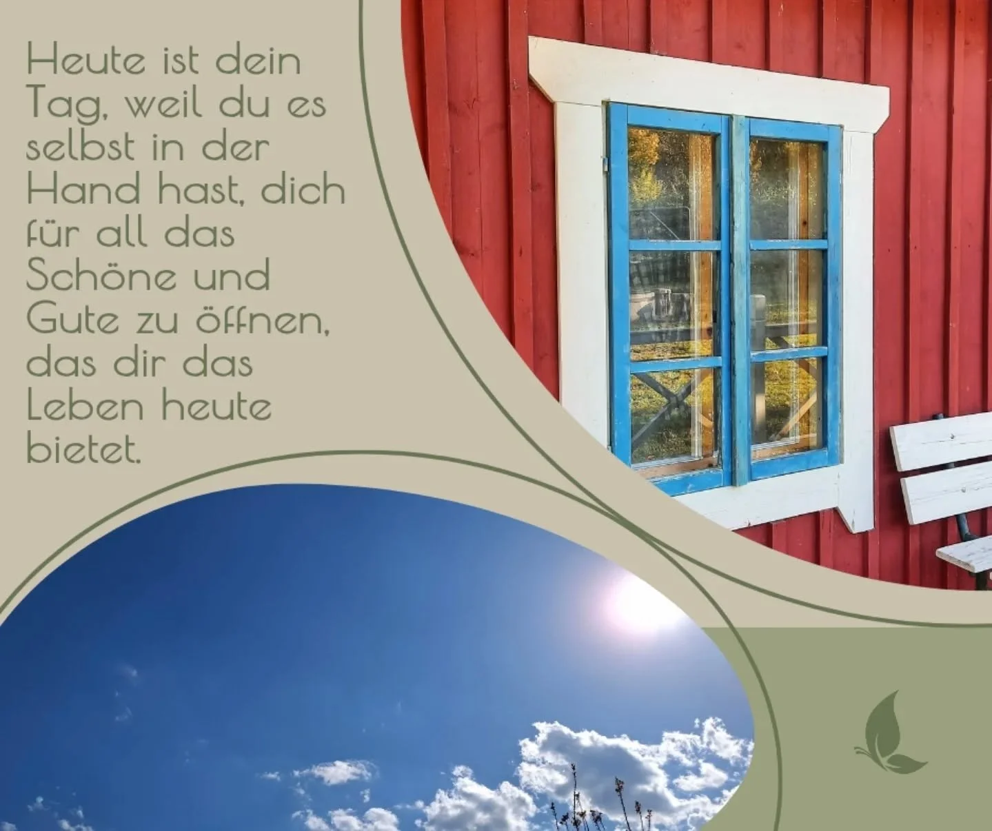 Heute war es an der Zeit meine Fenster zu putzen, damit ich wieder den "Durchblick" habe. 👓😃
Jetzt macht es gleich mehr Freude der Natur beim Erwachen zuzusehen und den Fr&uuml;hling zu genie&szlig;en. 
Ich mag die Sonne, nur heute war es