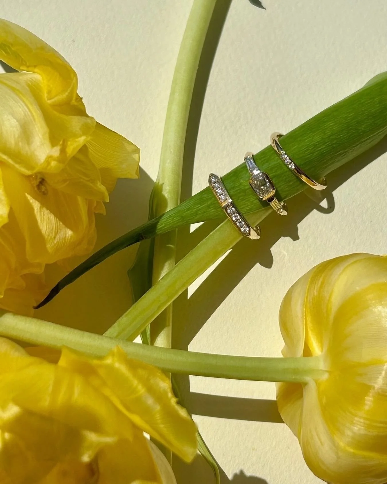 Realized that I never posted this shot - one of my faves 🌼 Thinking back to sunny Spring days with these three pretties 💍 
⠀⠀⠀⠀⠀⠀⠀⠀⠀
✨ Gracia White Diamond Band
✨ OOAK Luz Yellow Diamond Ring (sold)
✨ Petite Pilar White Diamond Stacker