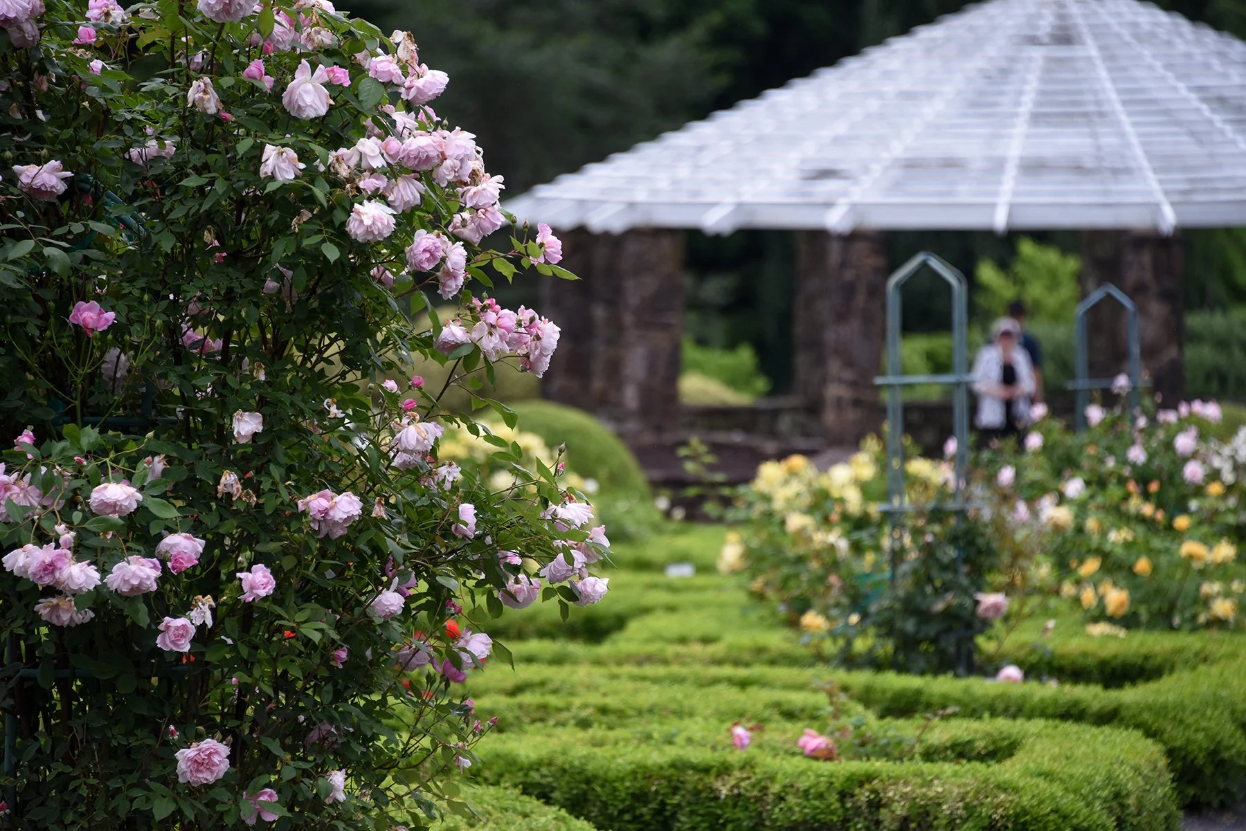 GUESTS OF ALLENDALE: Gardens of the Garden State Gardens Consortium