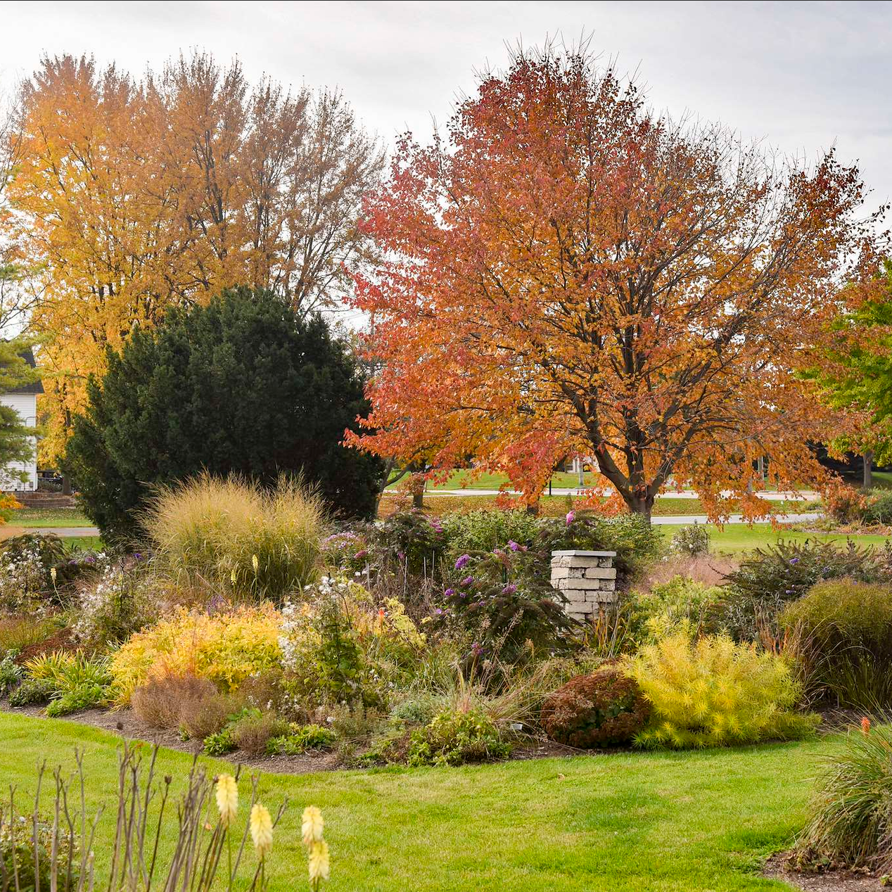 Creating a Season-Long Perennial Garden&nbsp;