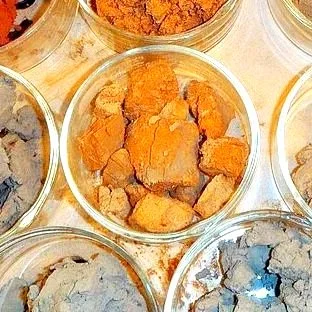 Getting the Dirt on your Garden