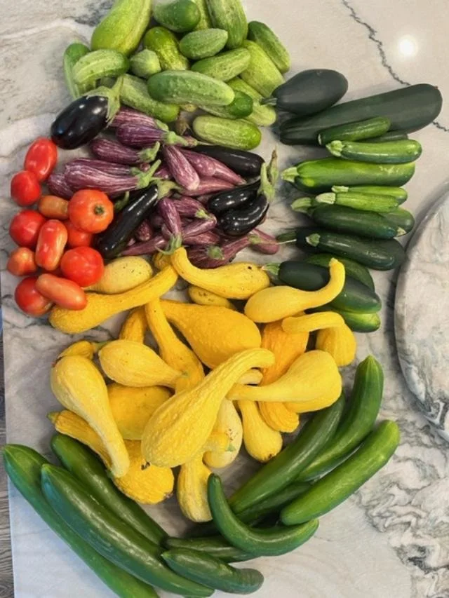 hungryharvest copy.jpg