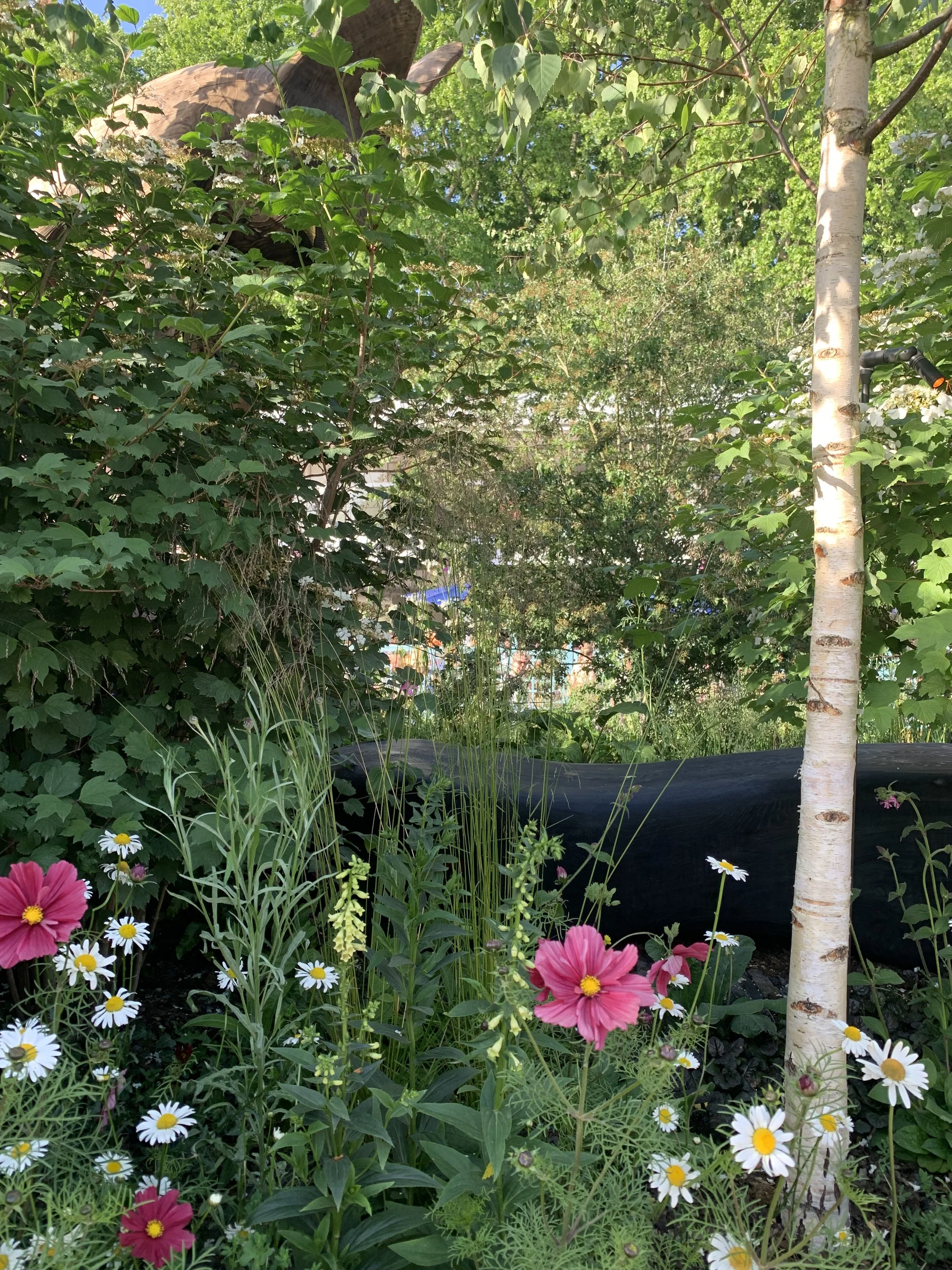A lush garden scene with various green plants and flowers, including pink, white, and yellow blooms, a small tree with white bark, and a black plastic barrier at the bottom. Sunlight filters through the leaves, creating a vibrant, natural setting.
