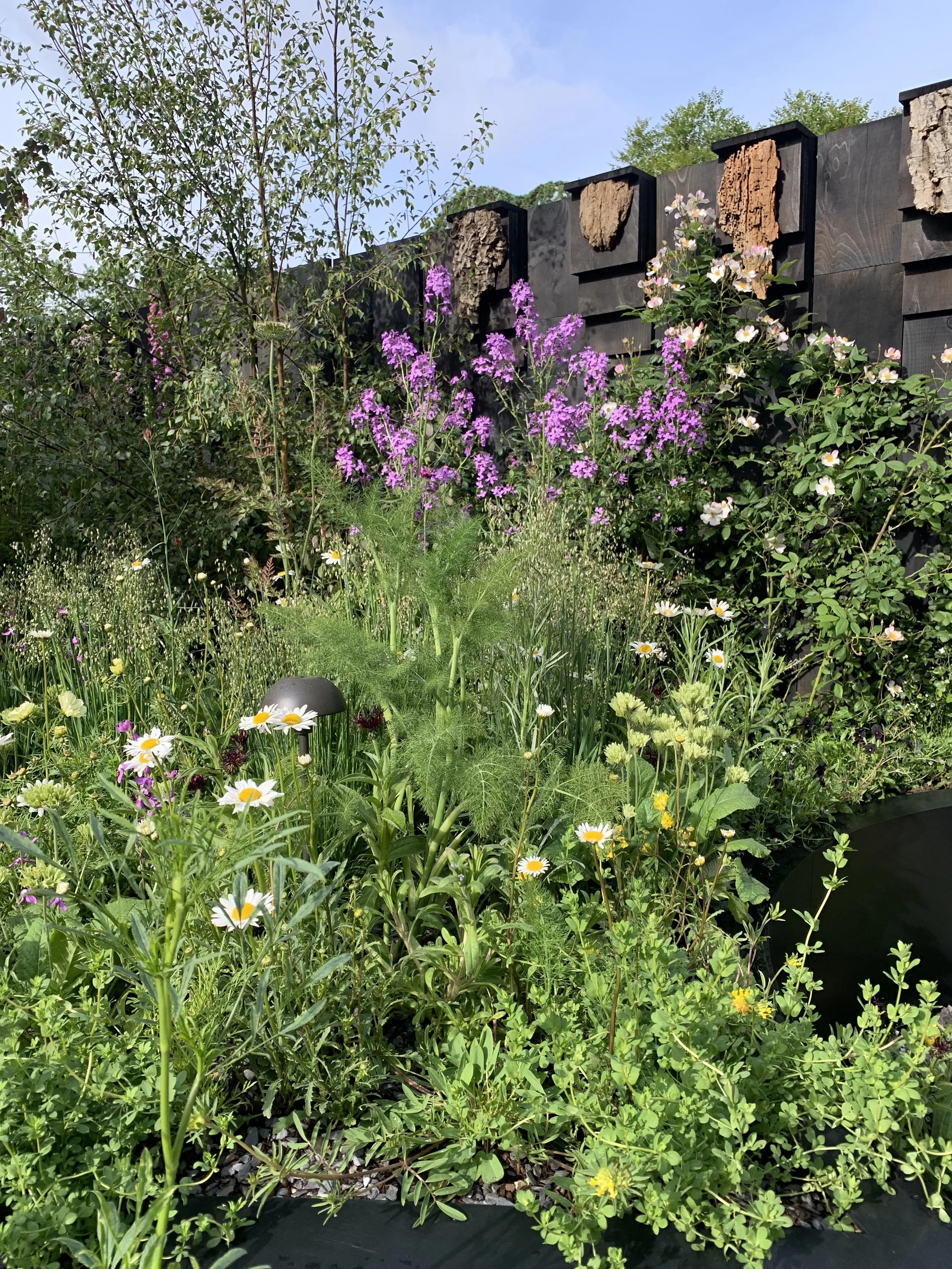 Colorful garden with purple, white, and yellow flowers, green foliage, and a black fence with decorative wood pieces on top.