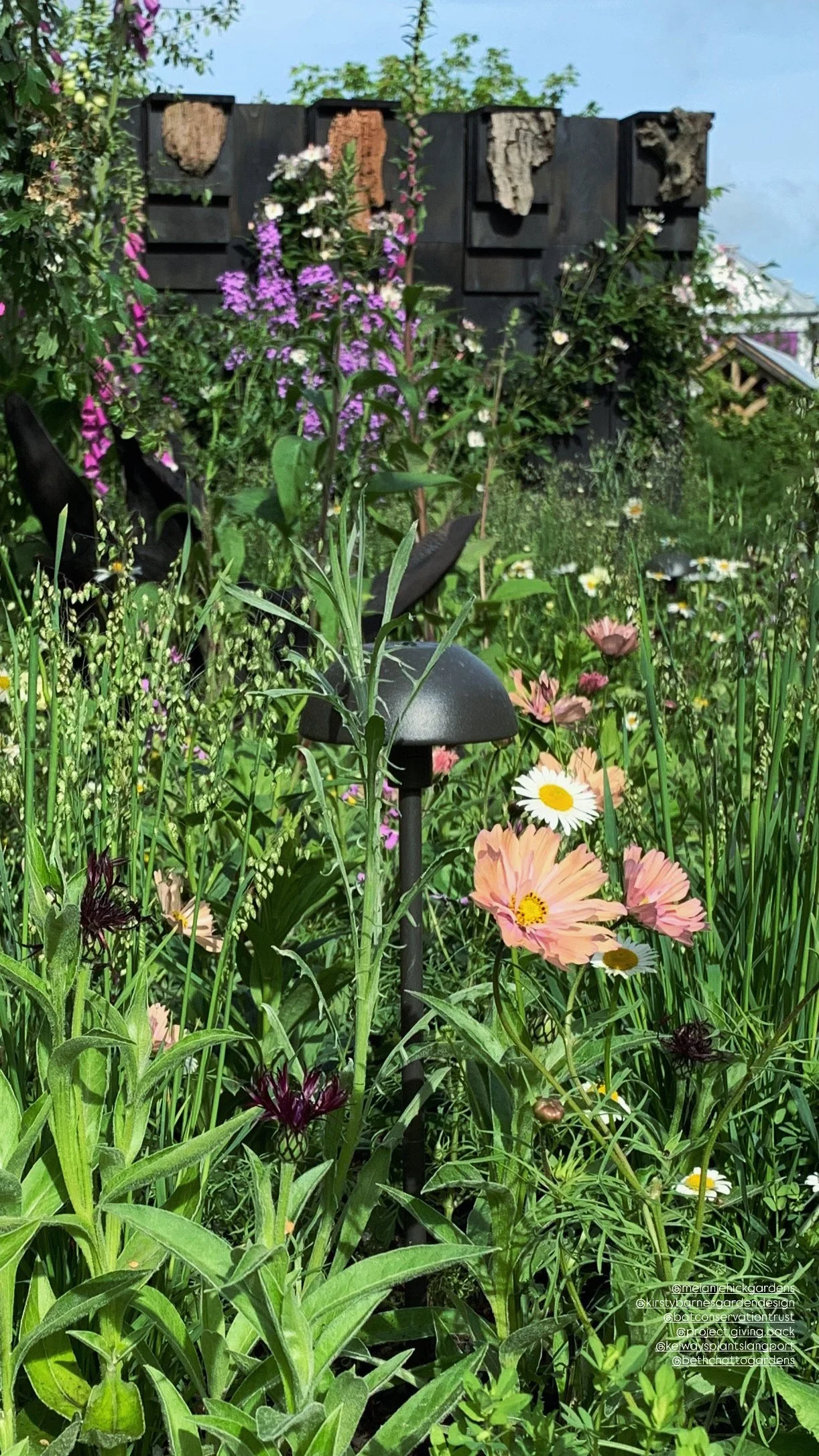 A lush garden scene with various colorful flowers including daisies, pink cosmos, and purple flowers, along with green foliage, a black garden lamp, and a decorative black wooden fence in the background with pieces of bark attached to it.