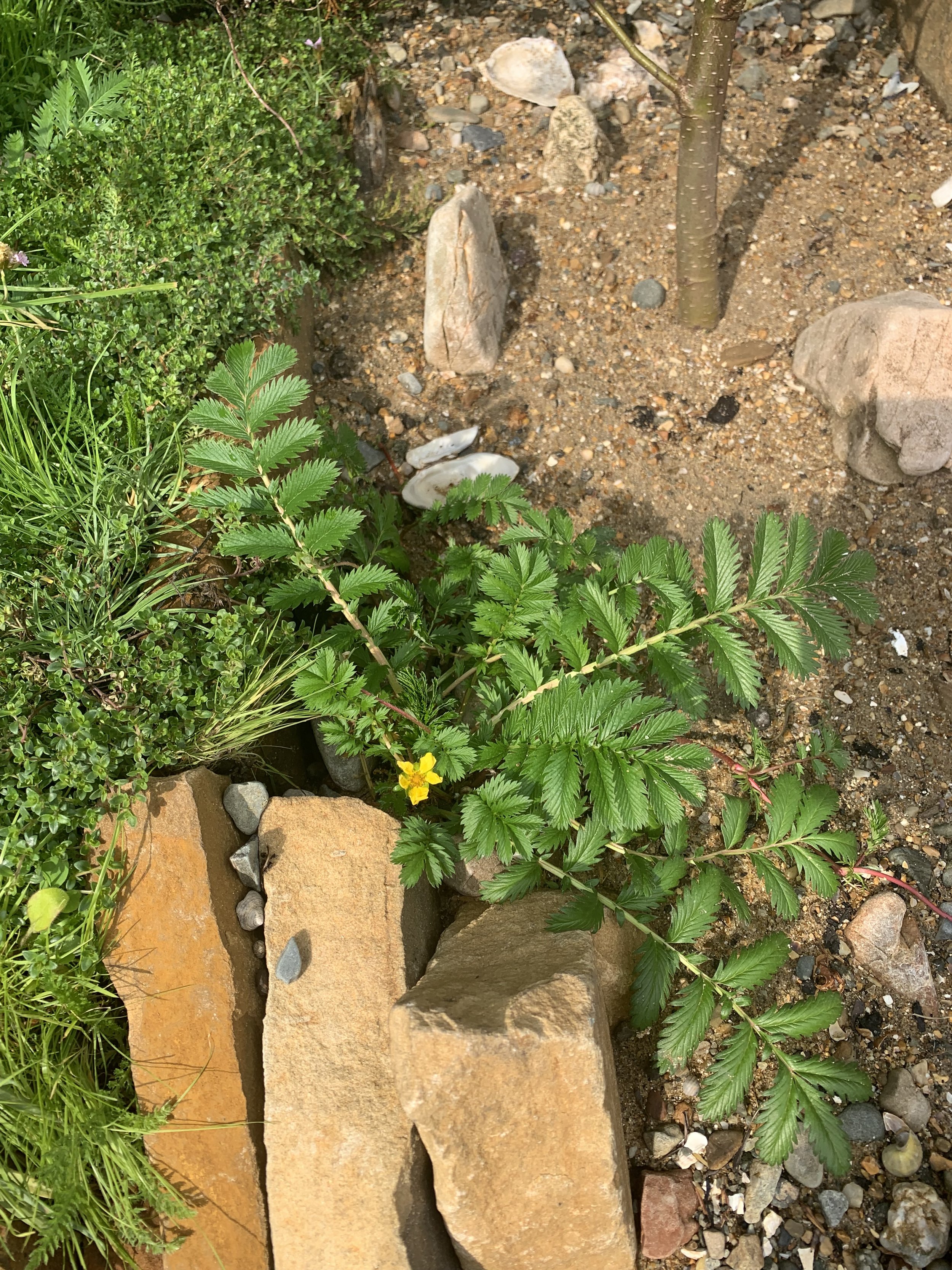 IMG_5571.jpeg